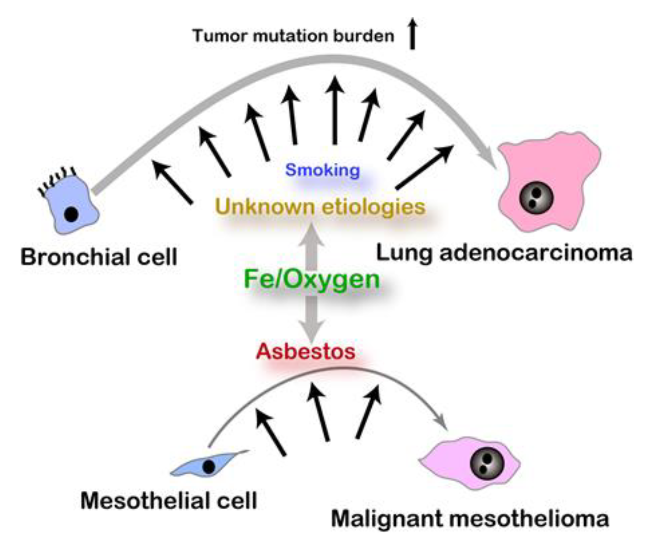 Cancers 12 03320 g001