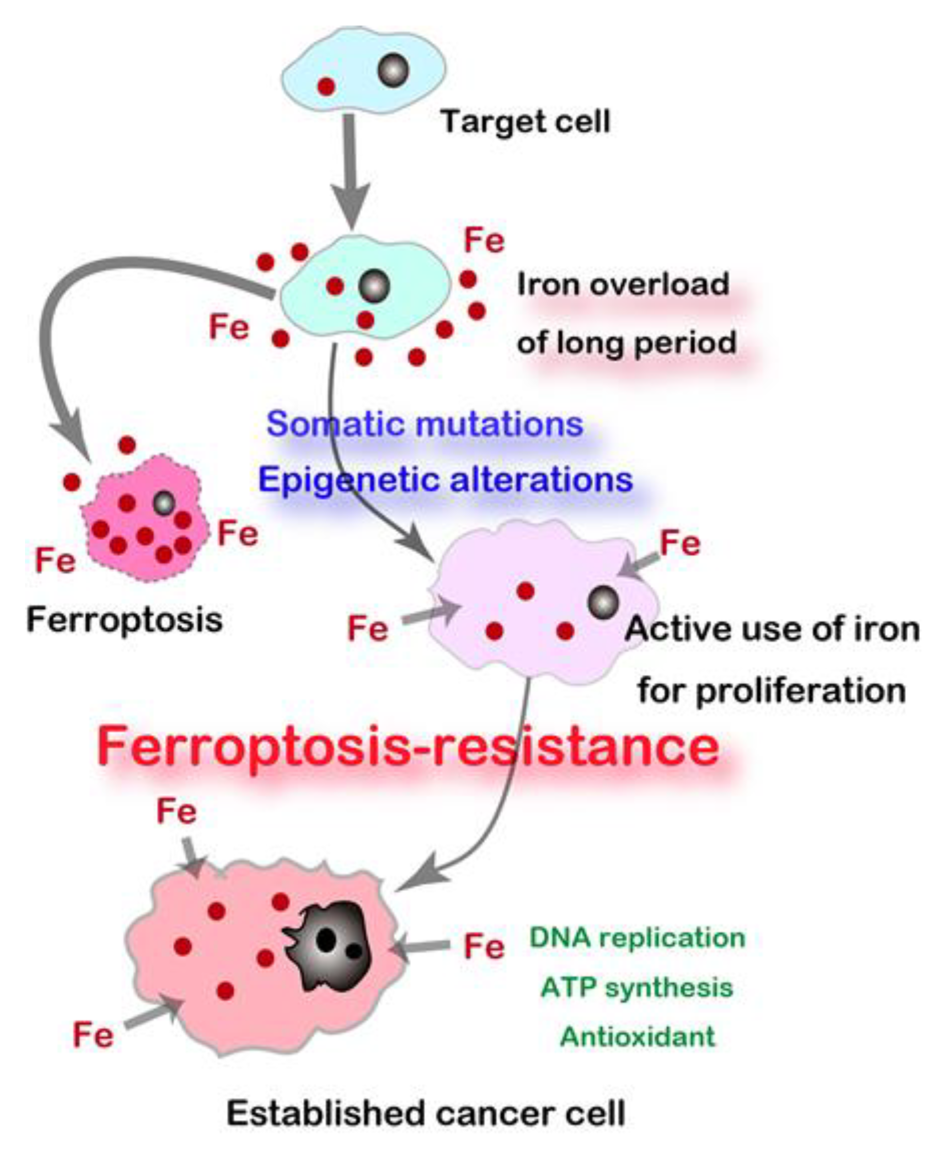 Cancers 12 03320 g004