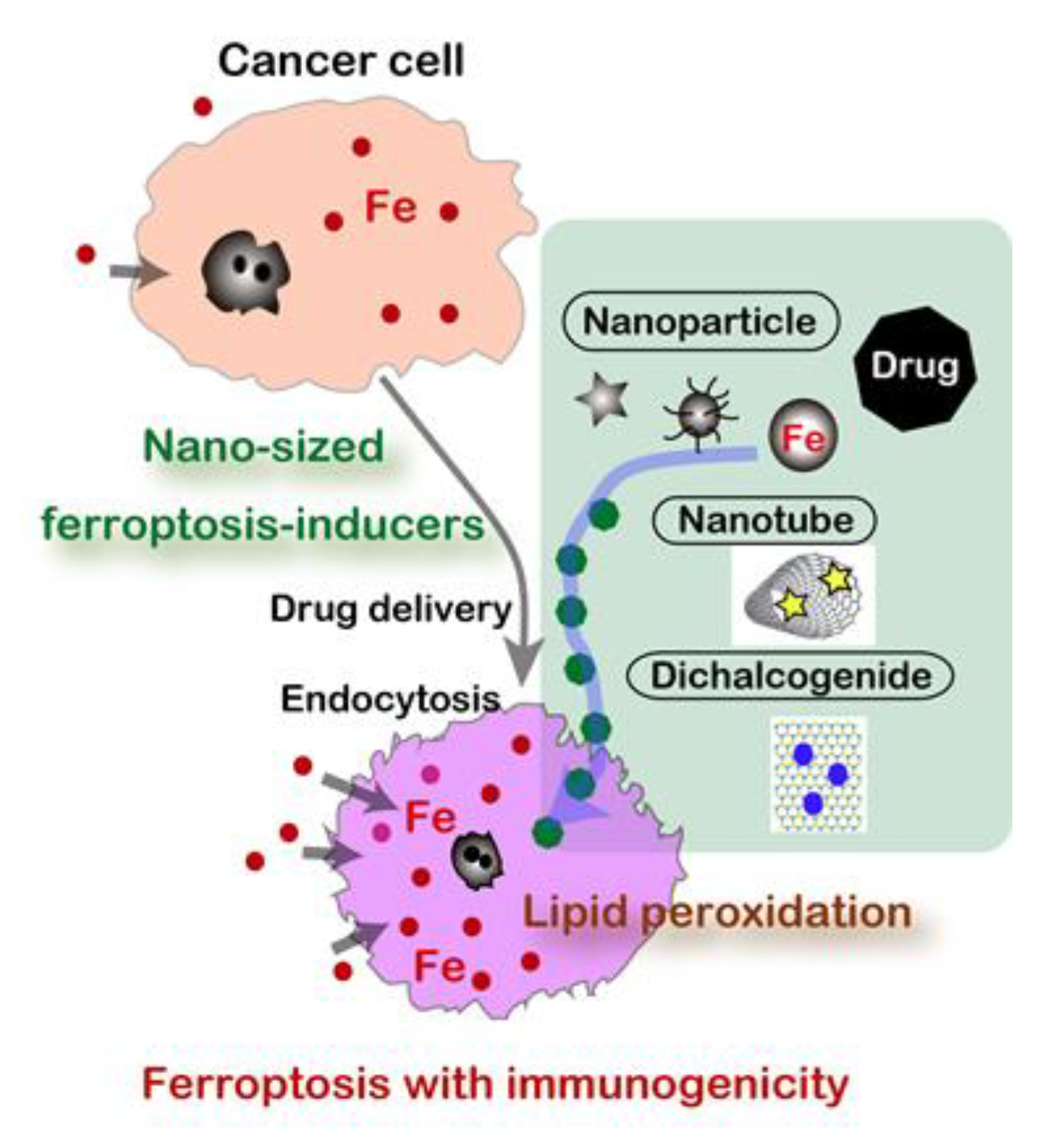 Cancers 12 03320 g005