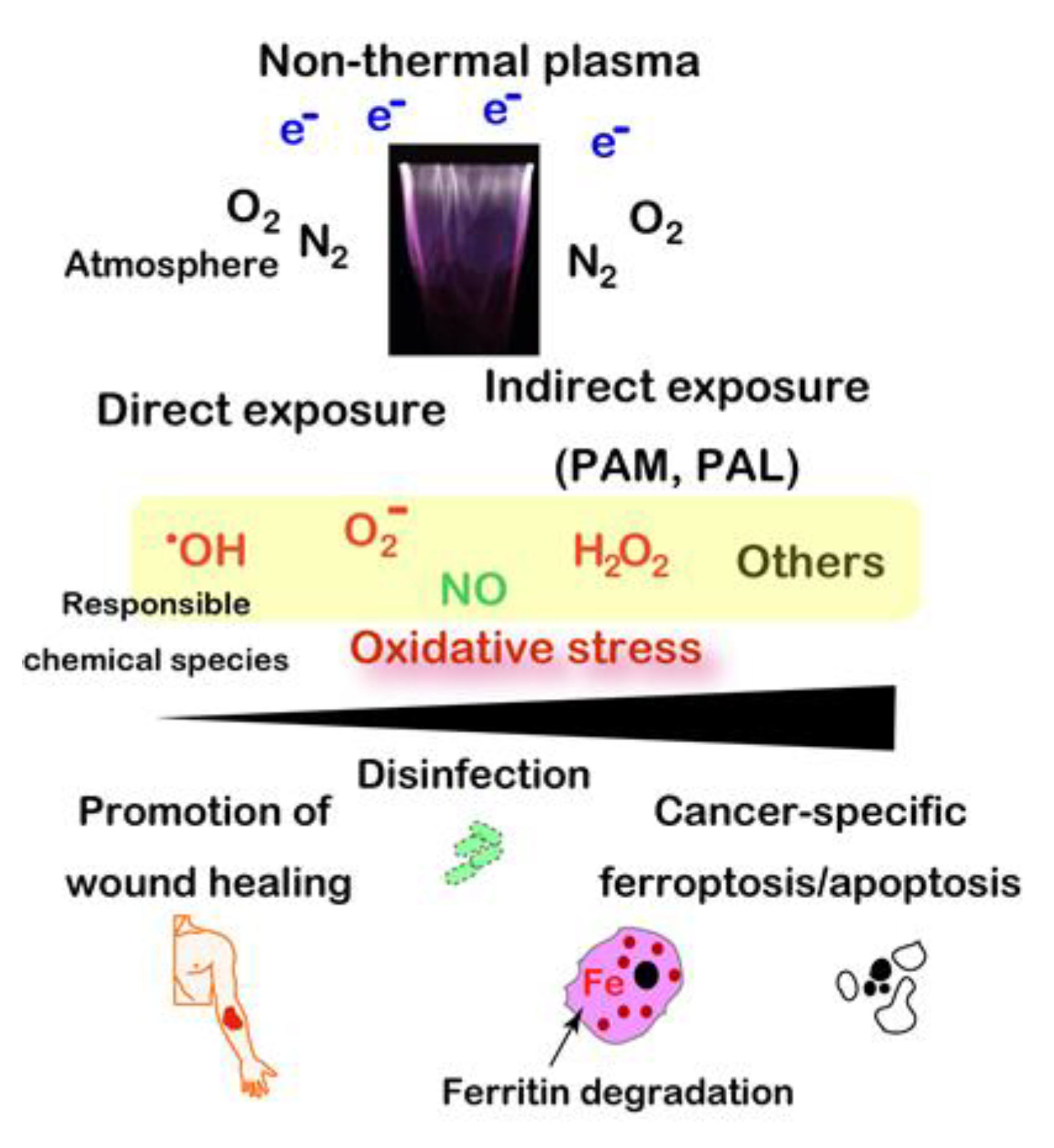 Cancers 12 03320 g006