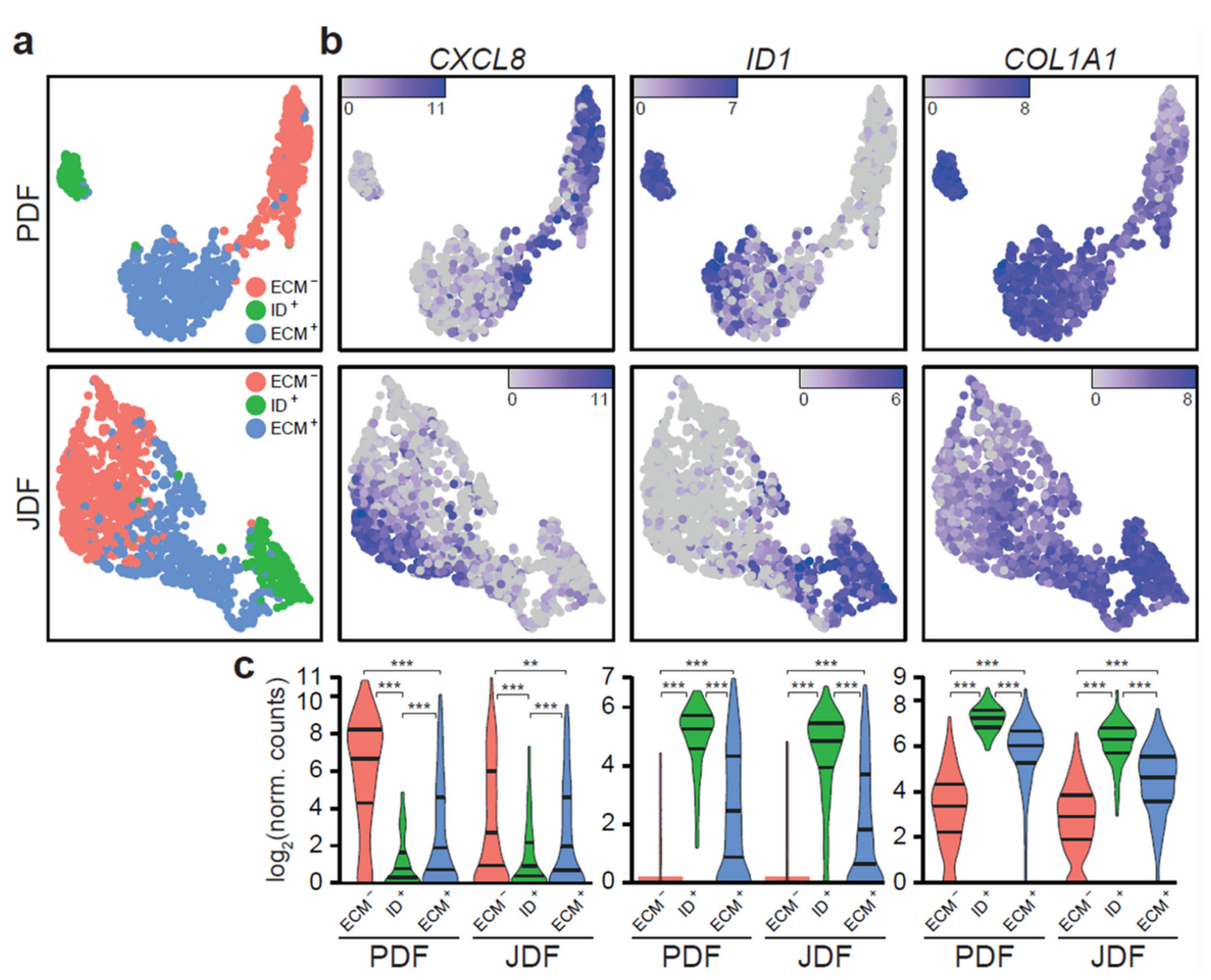 Cancers 12 03324 g002 Cancers 12 03324 g002