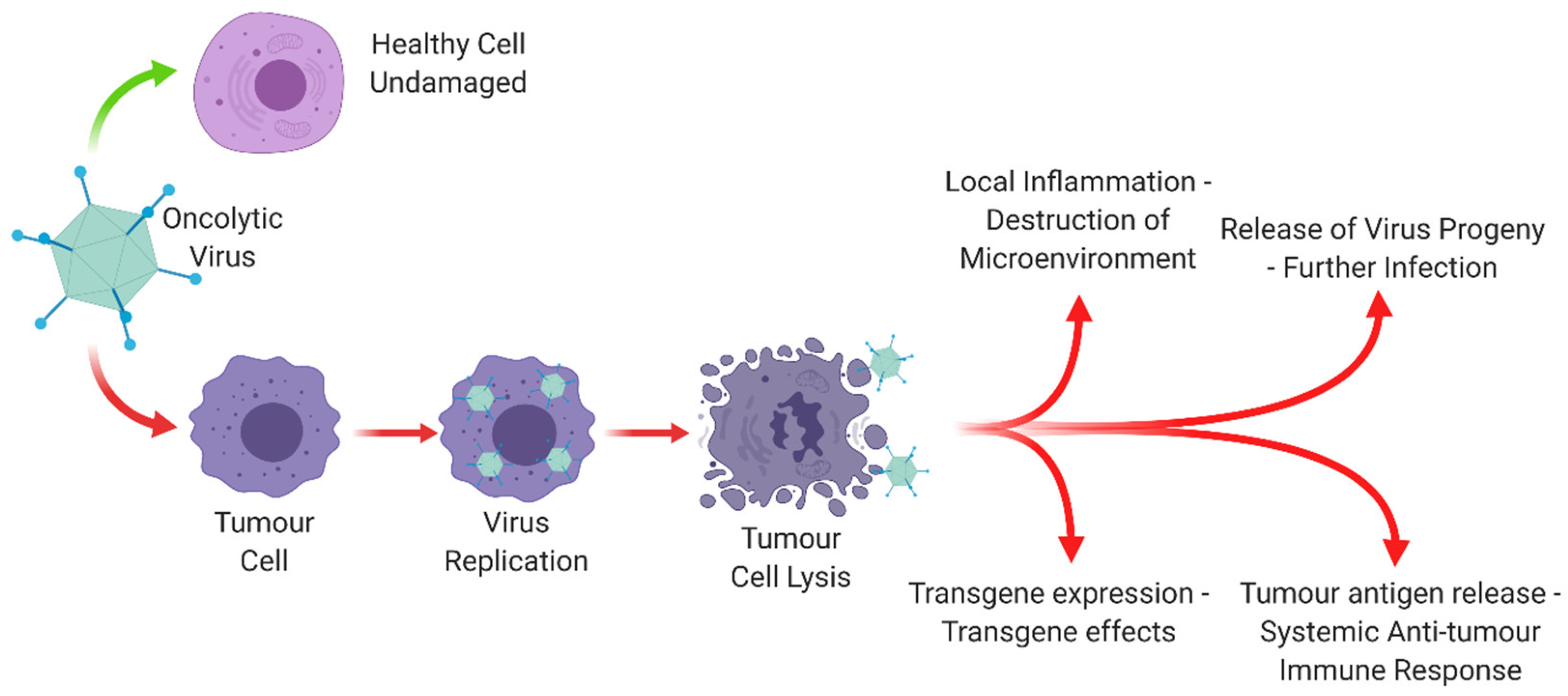 Cancers 12 03327 g001