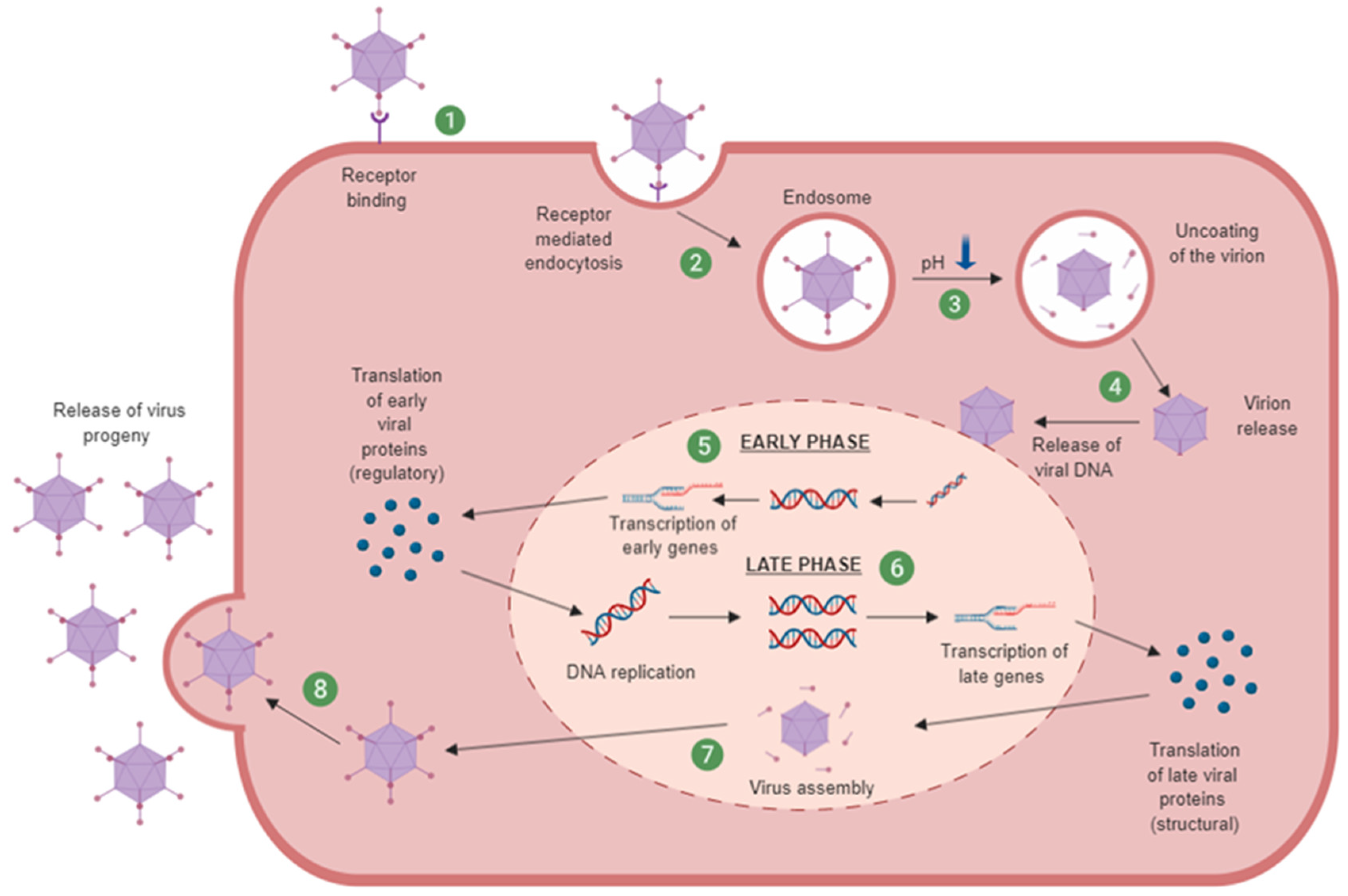 Cancers 12 03327 g002