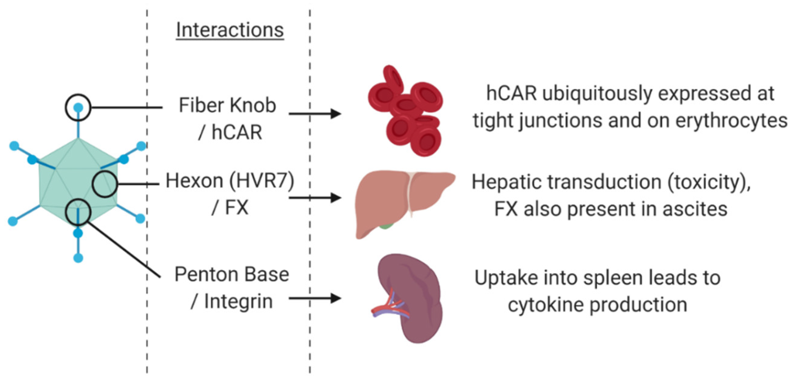Cancers 12 03327 g003