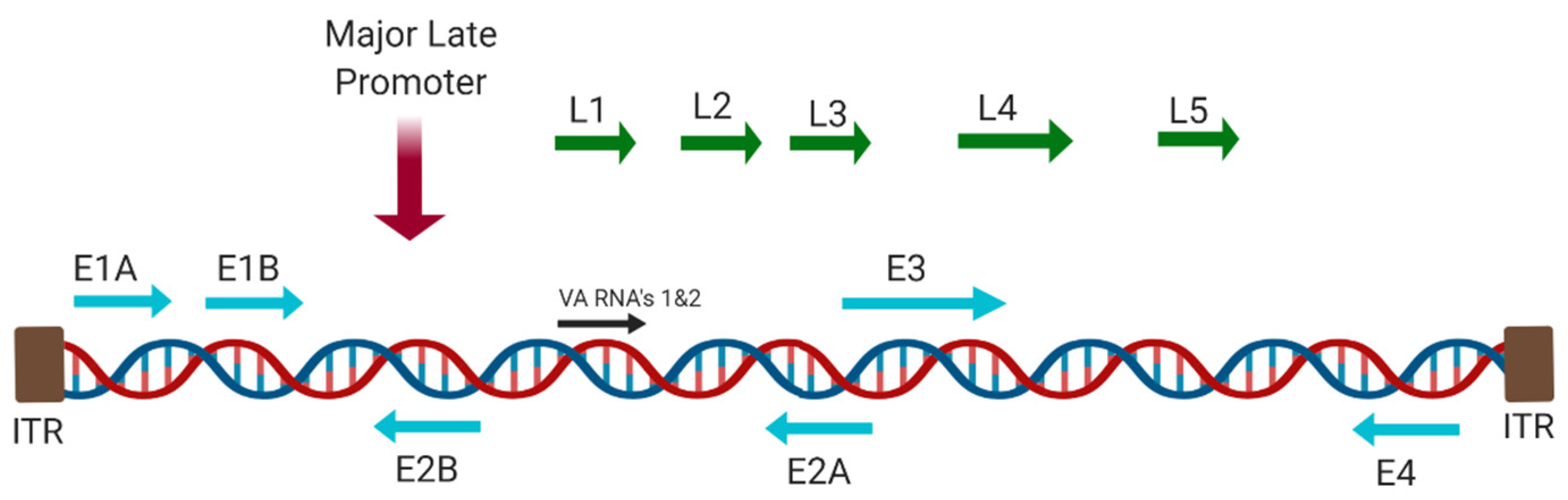 Cancers 12 03327 g004