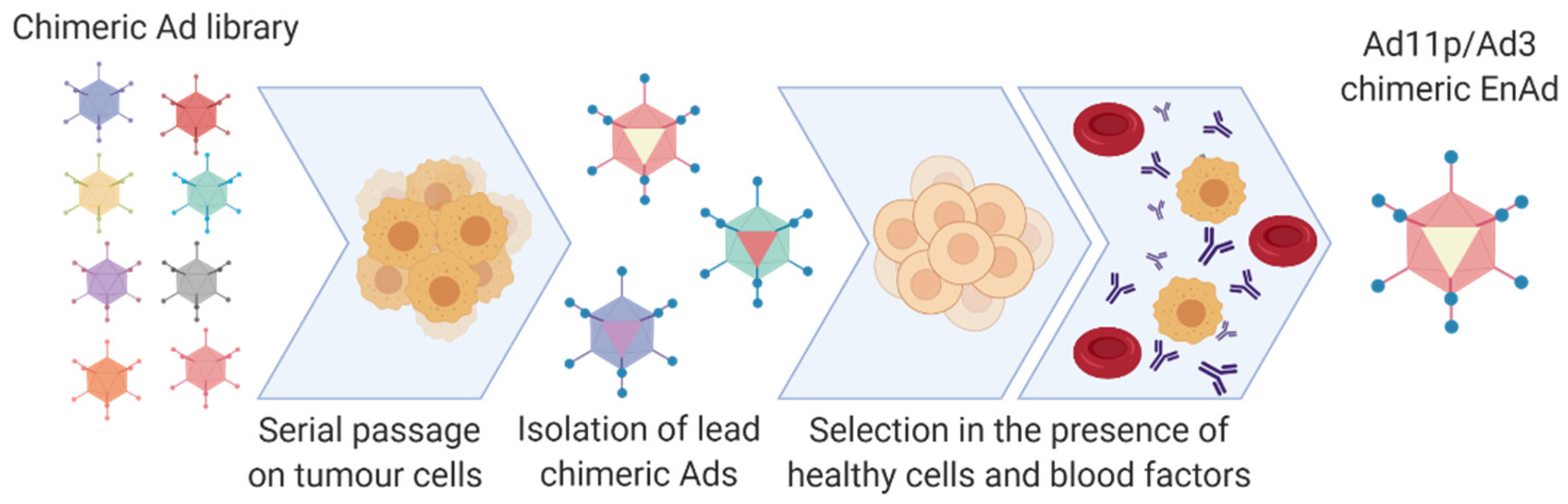 Cancers 12 03327 g005