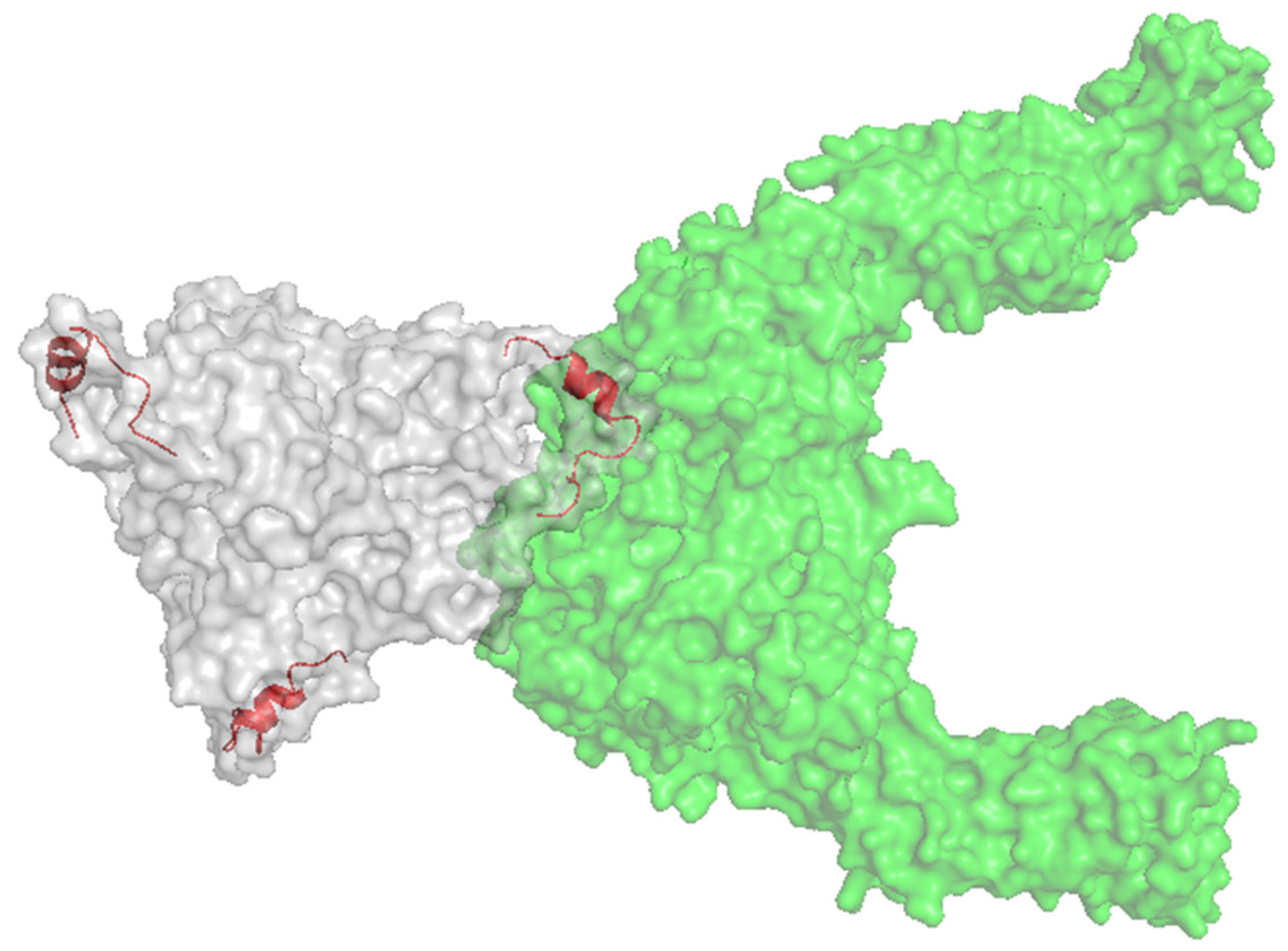 Cancers 12 03327 g006