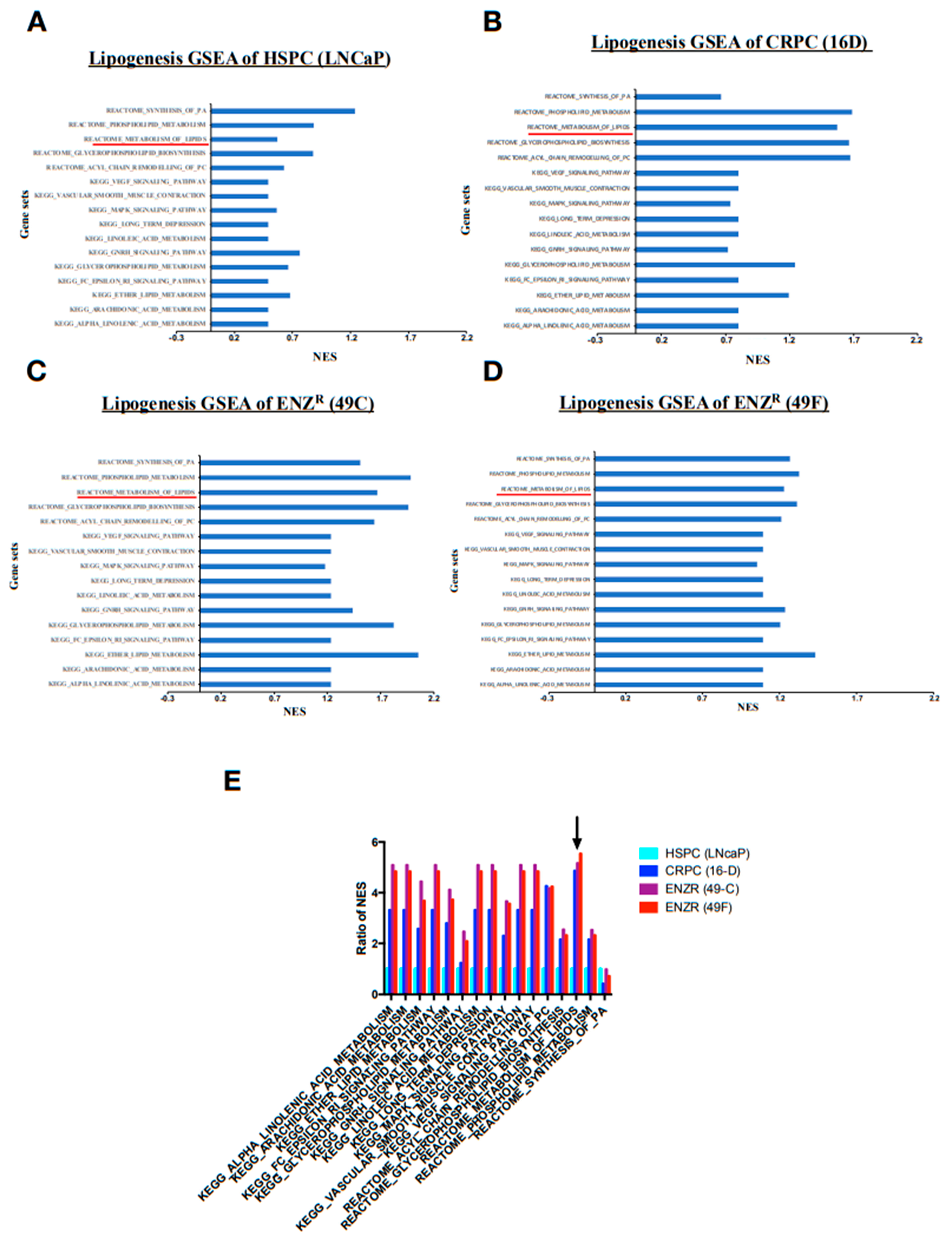 Cancers 12 03339 g001