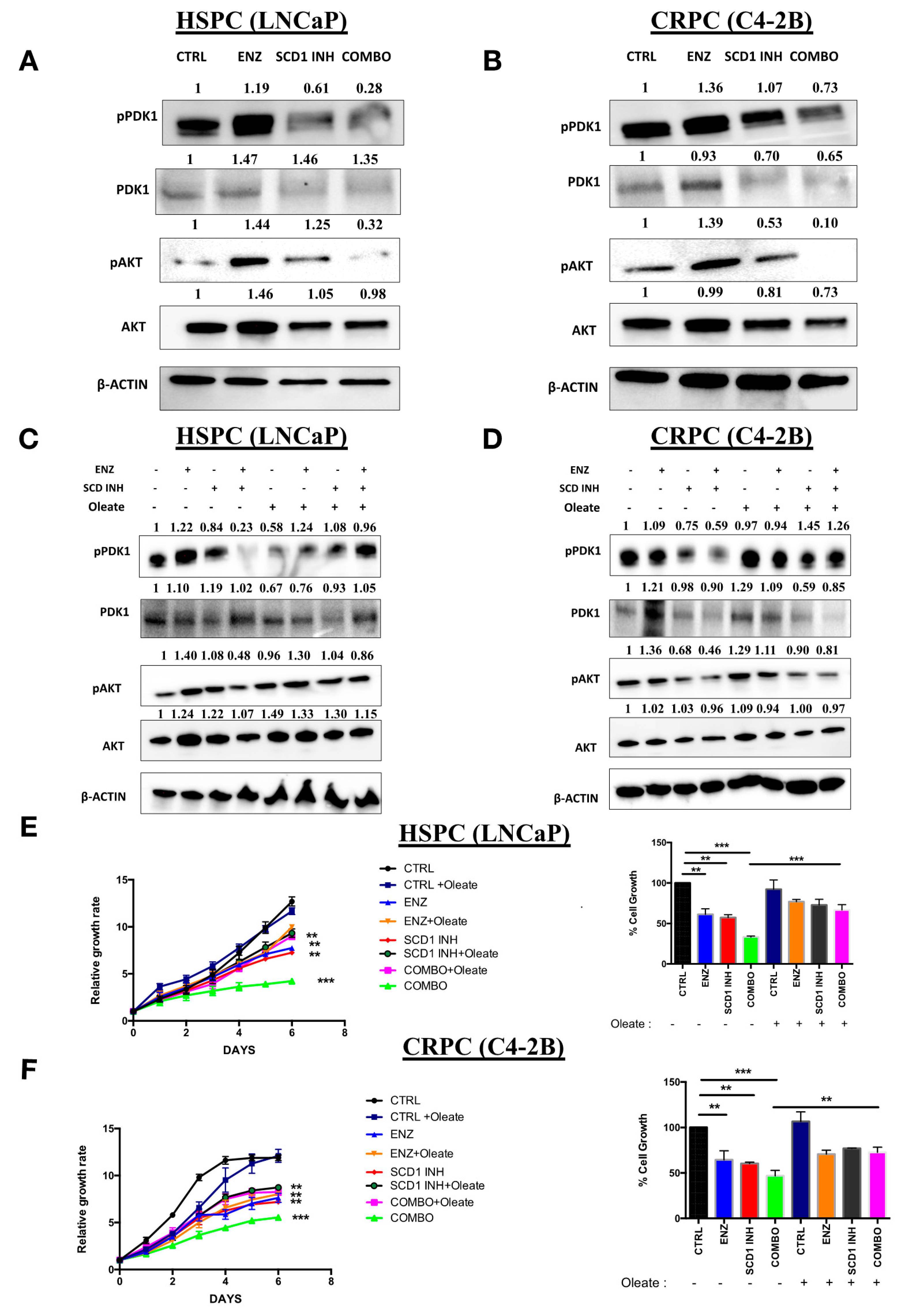 Cancers 12 03339 g005