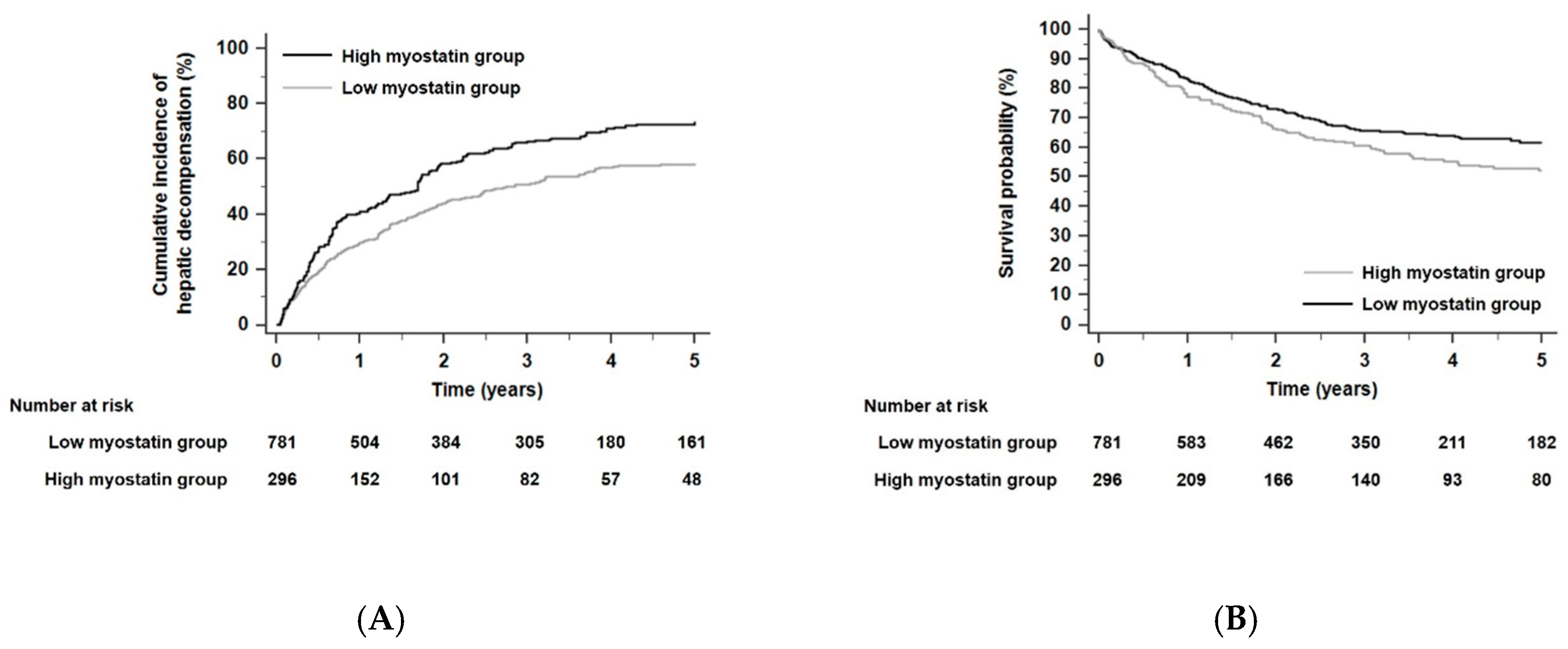 Cancers 12 03347 g005 Cancers 12 03347 g005