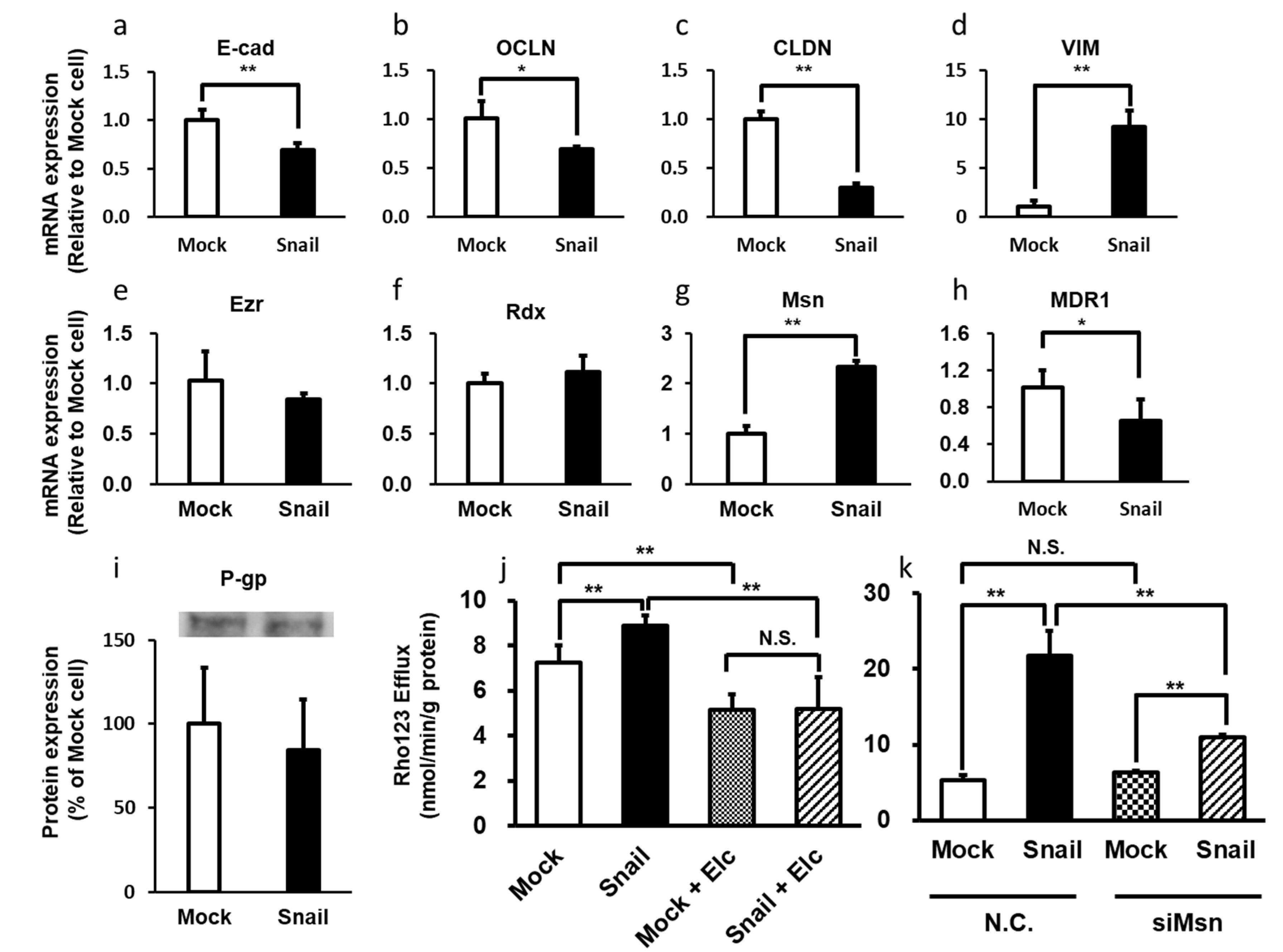 Cancers 12 03352 g001