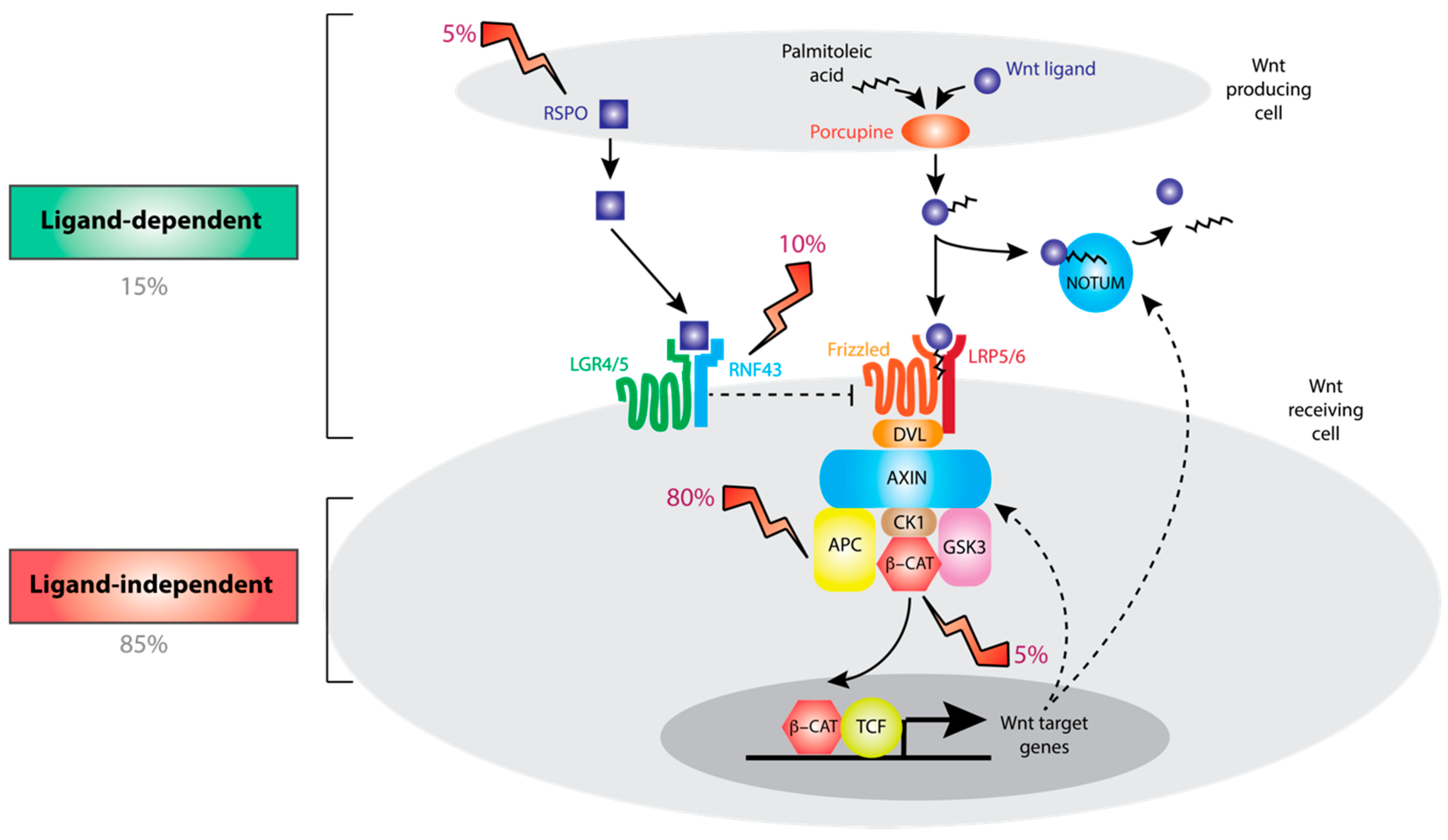 Cancers 12 03355 g001
