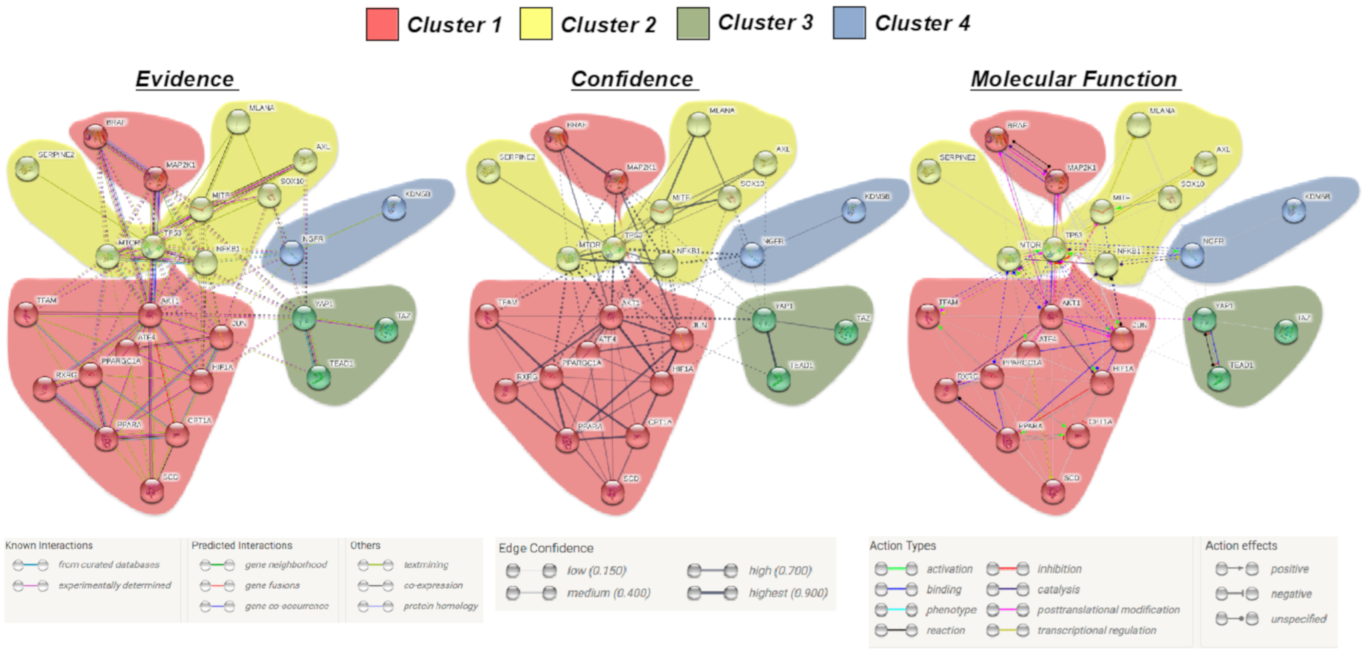 Cancers 12 03368 g002 Cancers 12 03368 g002