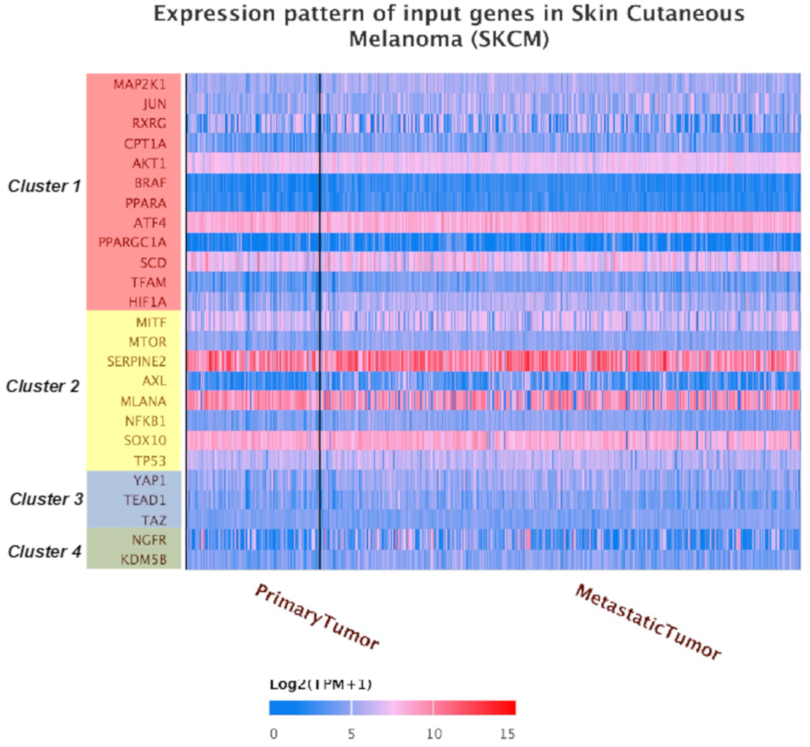 Cancers 12 03368 g003 Cancers 12 03368 g003