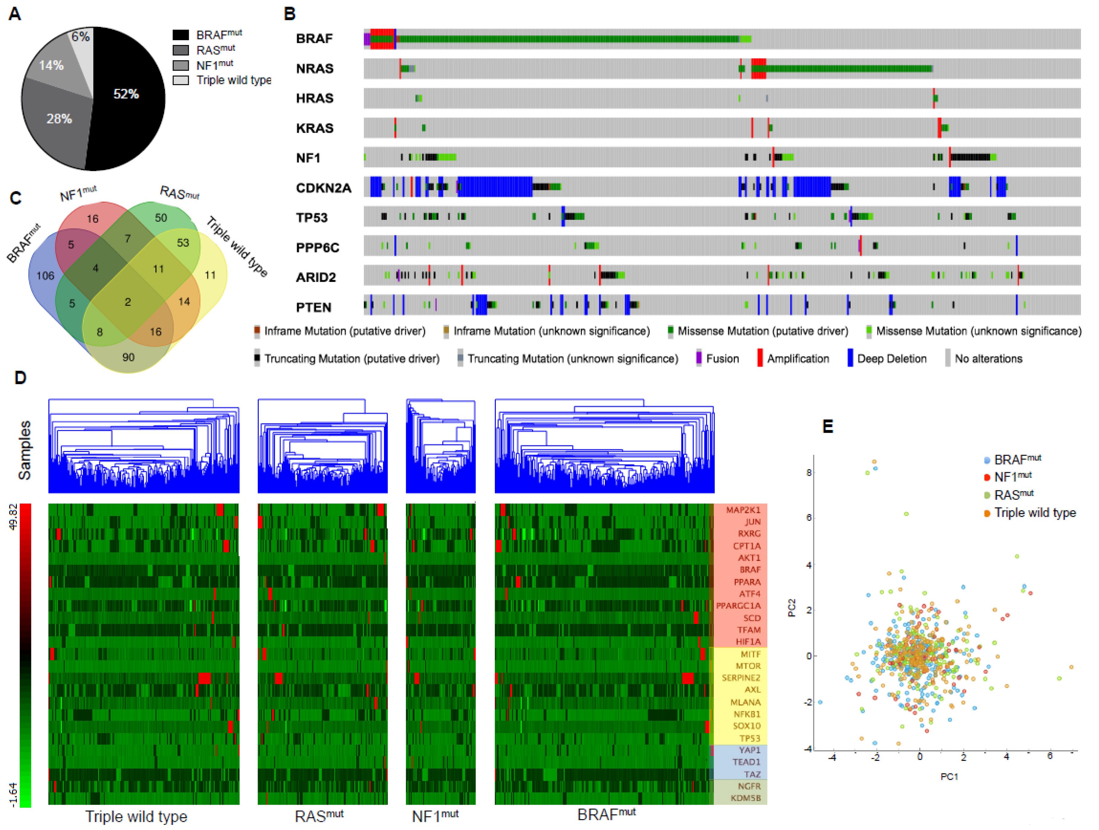 Cancers 12 03368 g004 Cancers 12 03368 g004