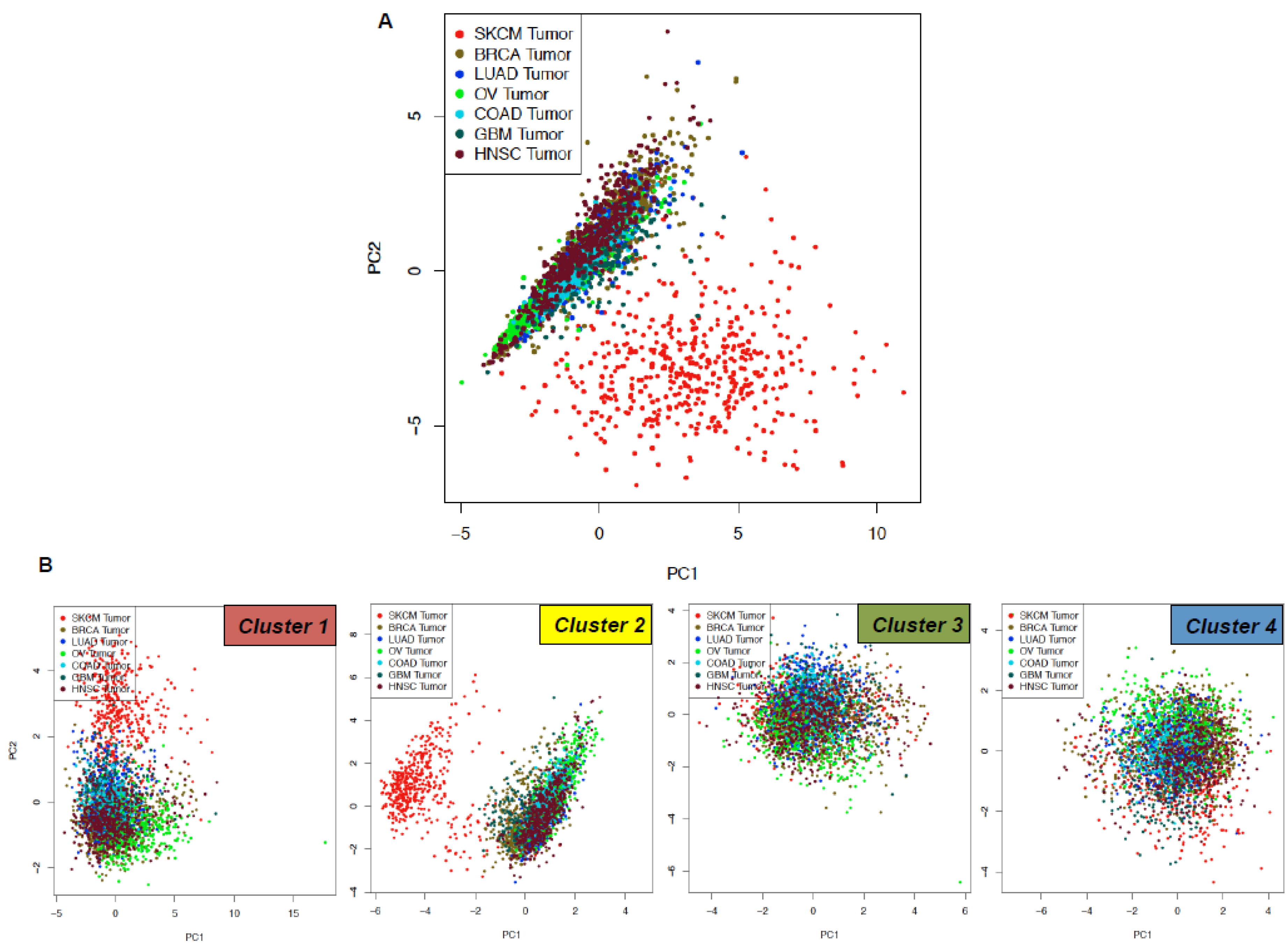 Cancers 12 03368 g006 Cancers 12 03368 g006