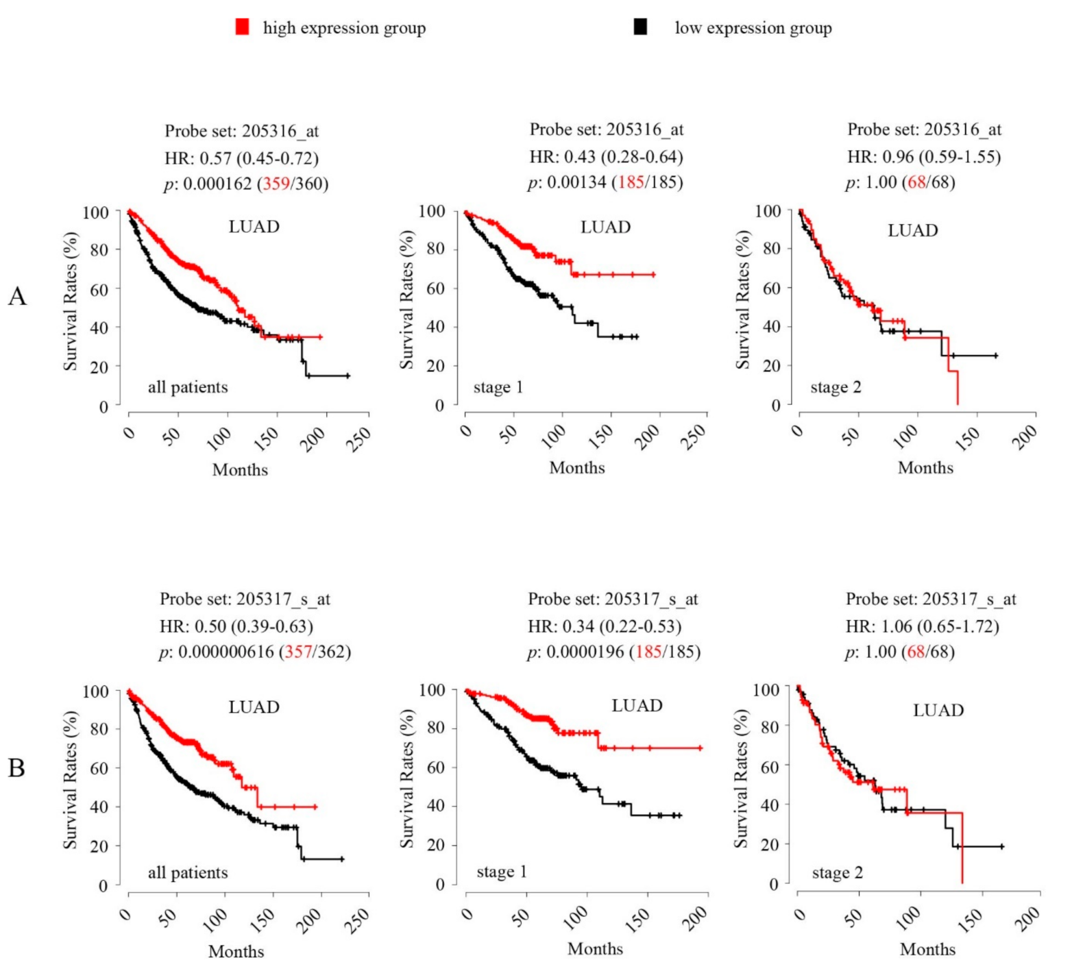 Cancers 12 03369 g005 Cancers 12 03369 g005