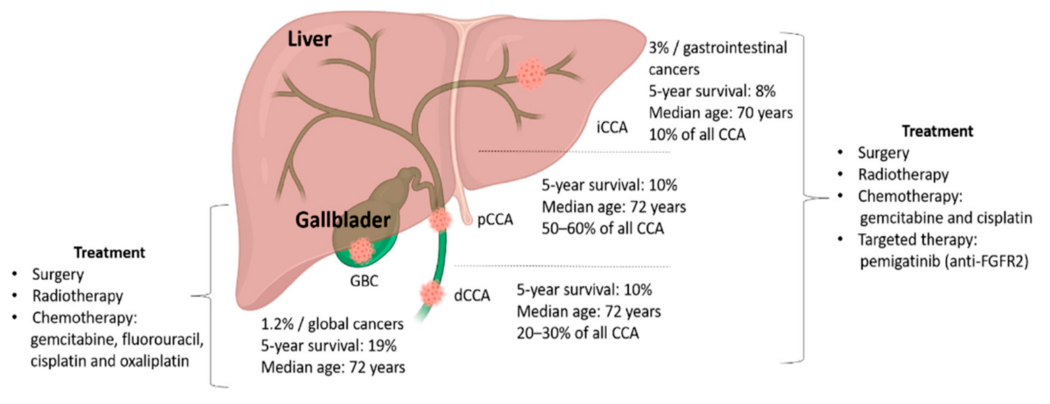 Cancers 12 03370 g001