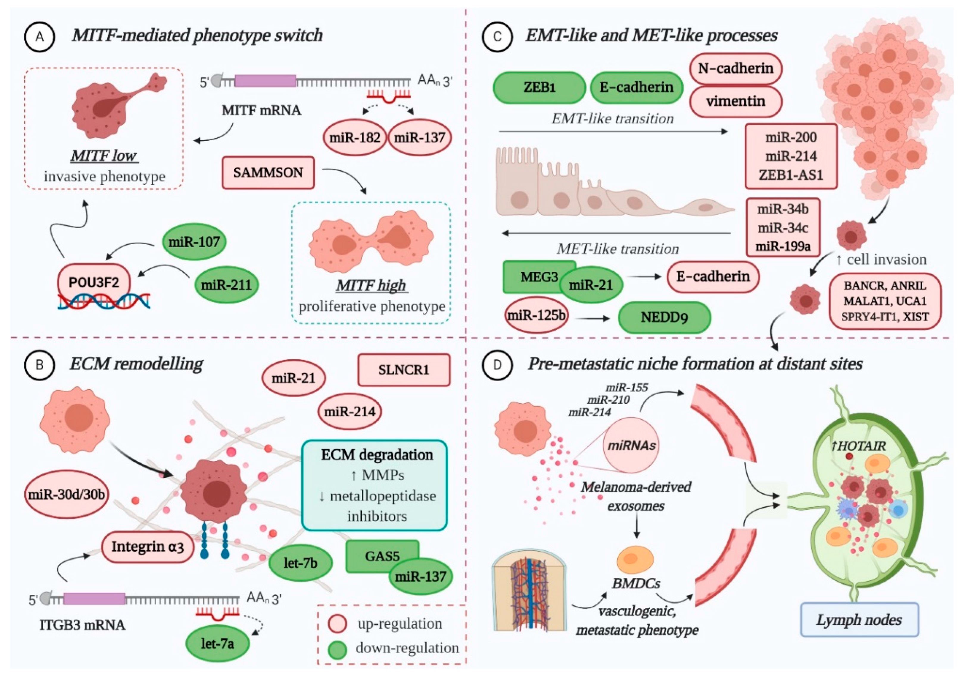 Cancers 12 03378 g001