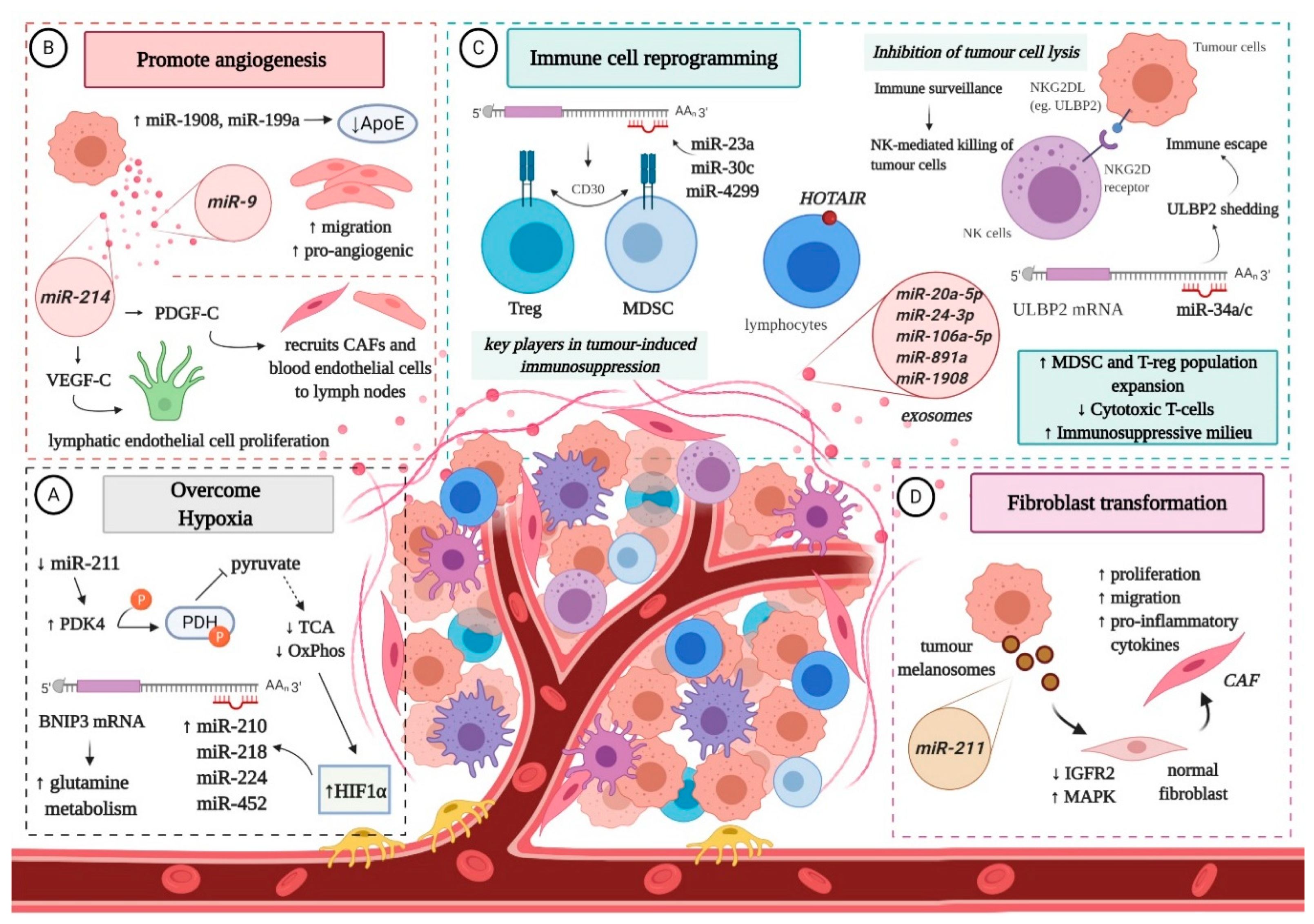Cancers 12 03378 g002