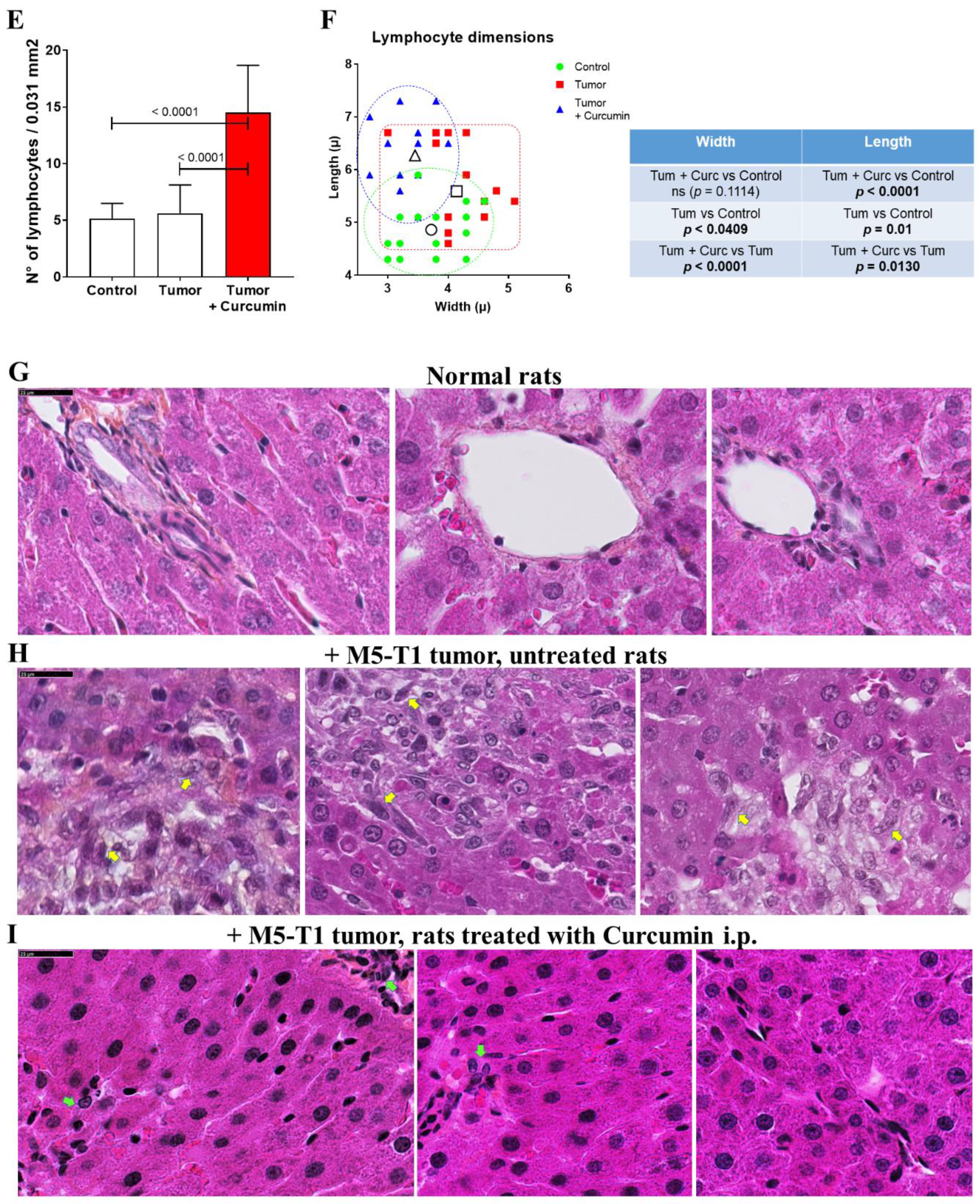 Cancers 12 03384 g001b