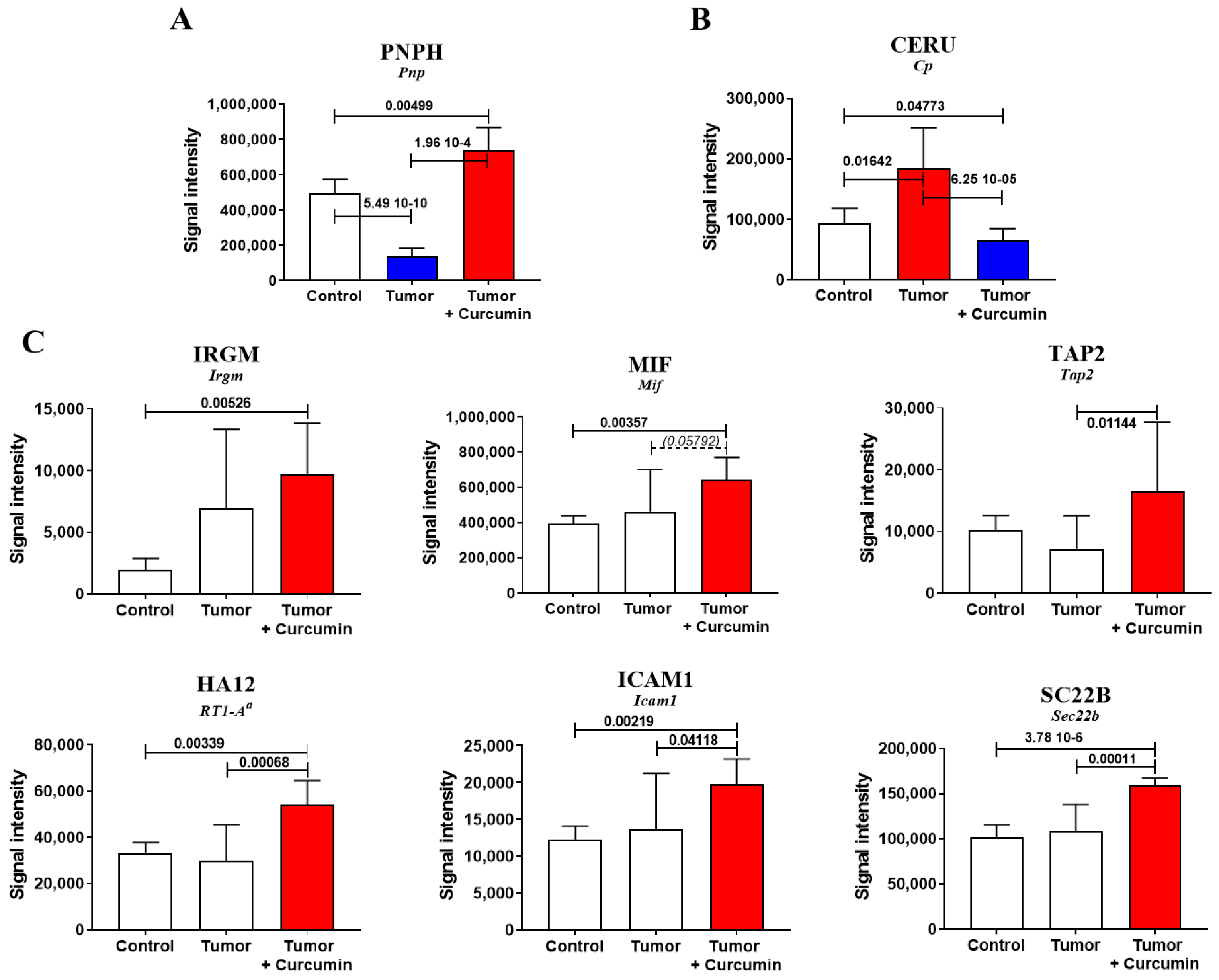 Cancers 12 03384 g002a