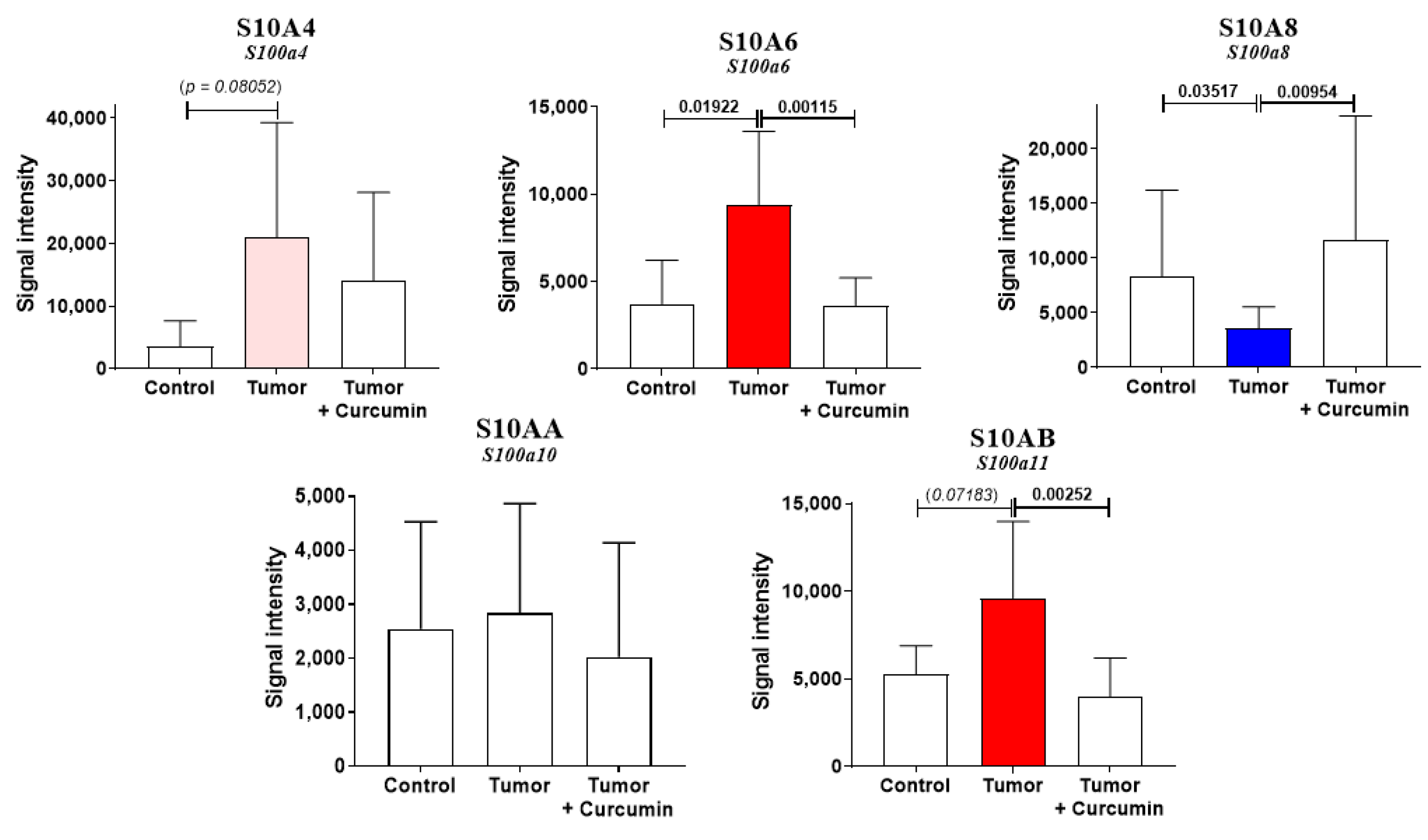 Cancers 12 03384 g005
