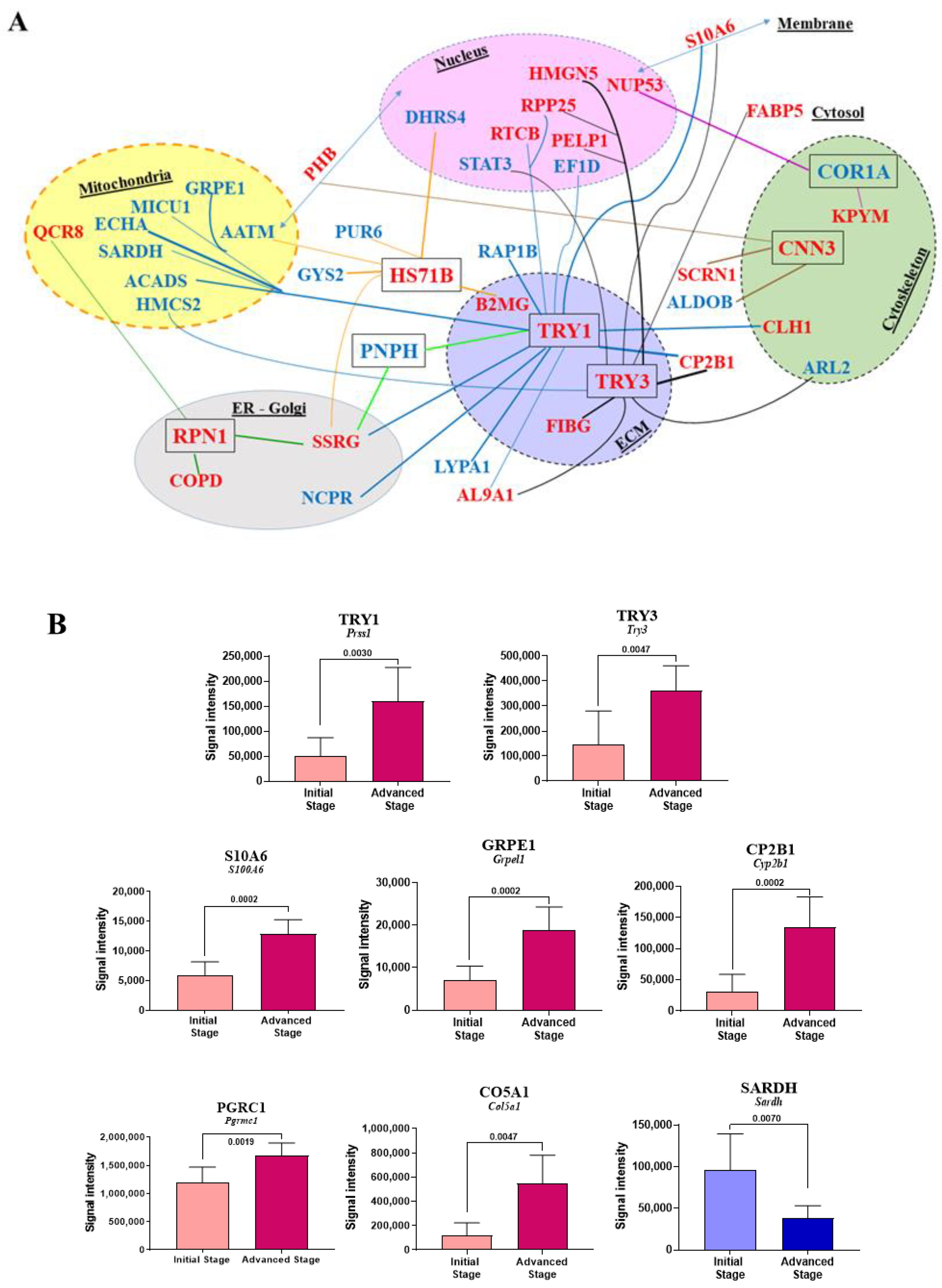 Cancers 12 03384 g007