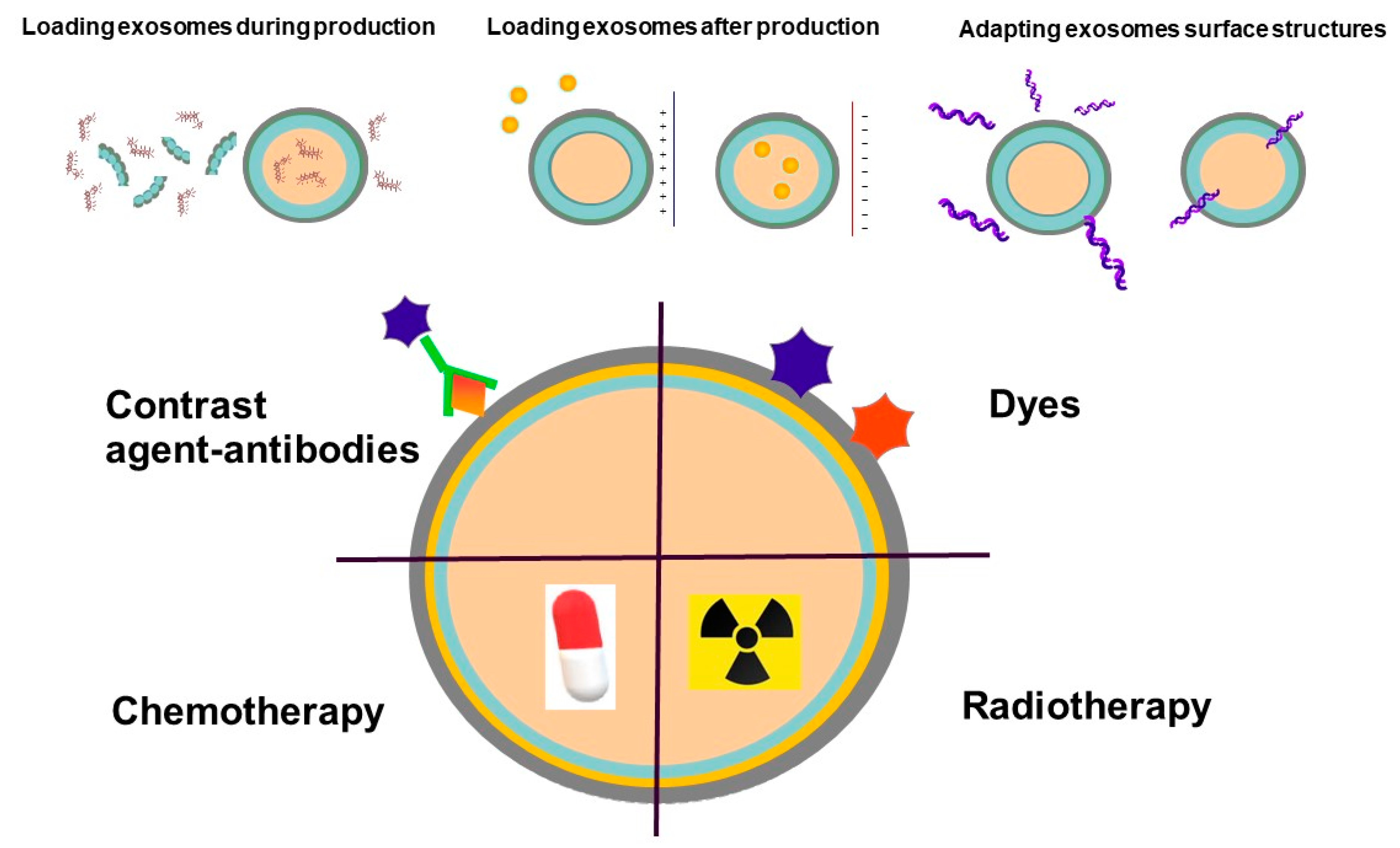 Cancers 12 03386 g003