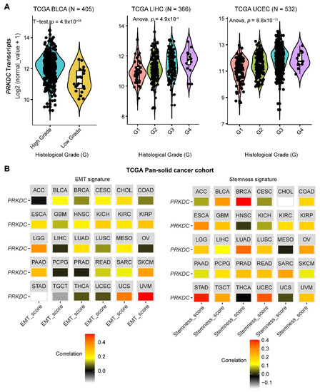 Cancers 12 03389 g002