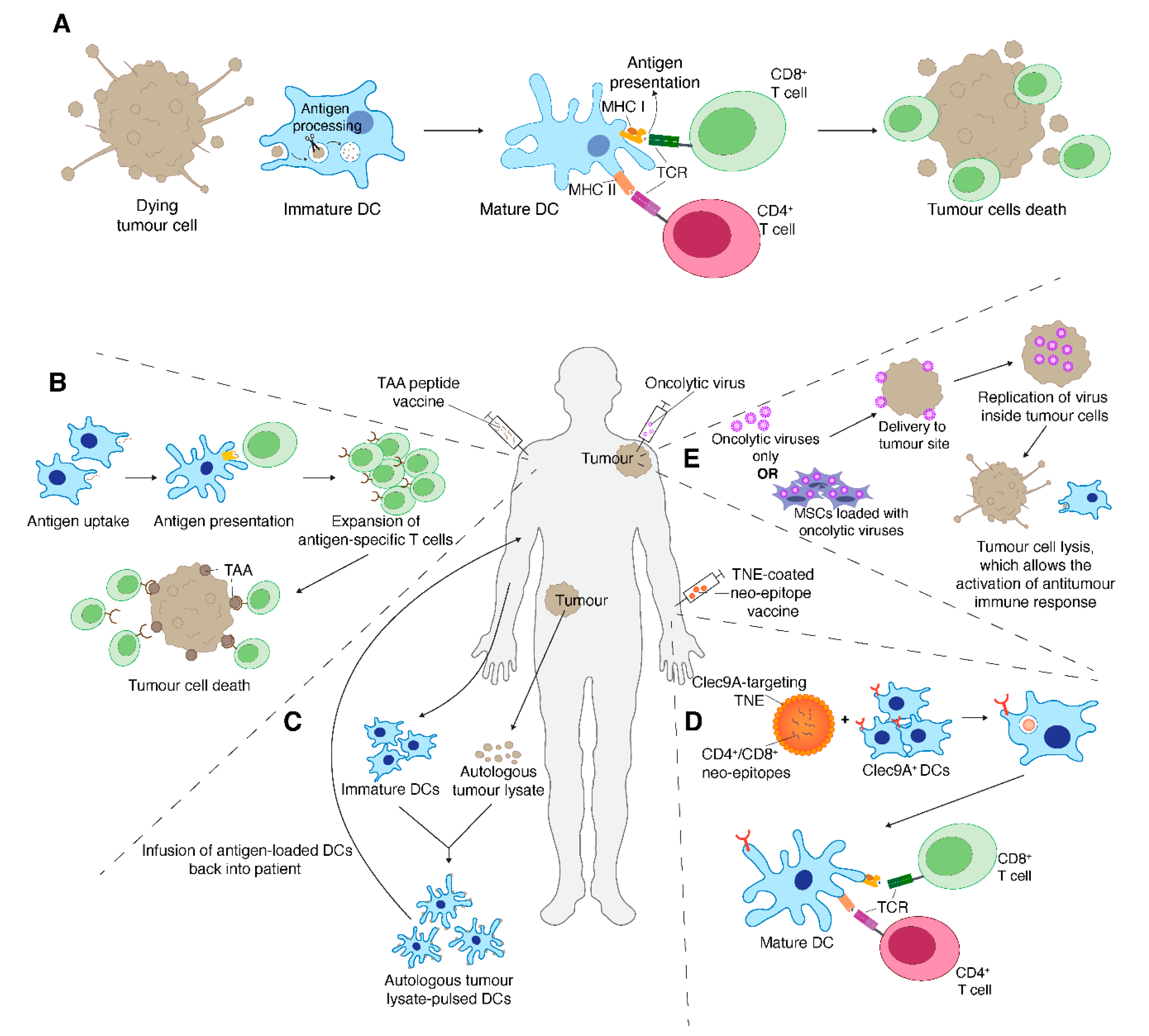 Cancers 12 03392 g002 Cancers 12 03392 g002
