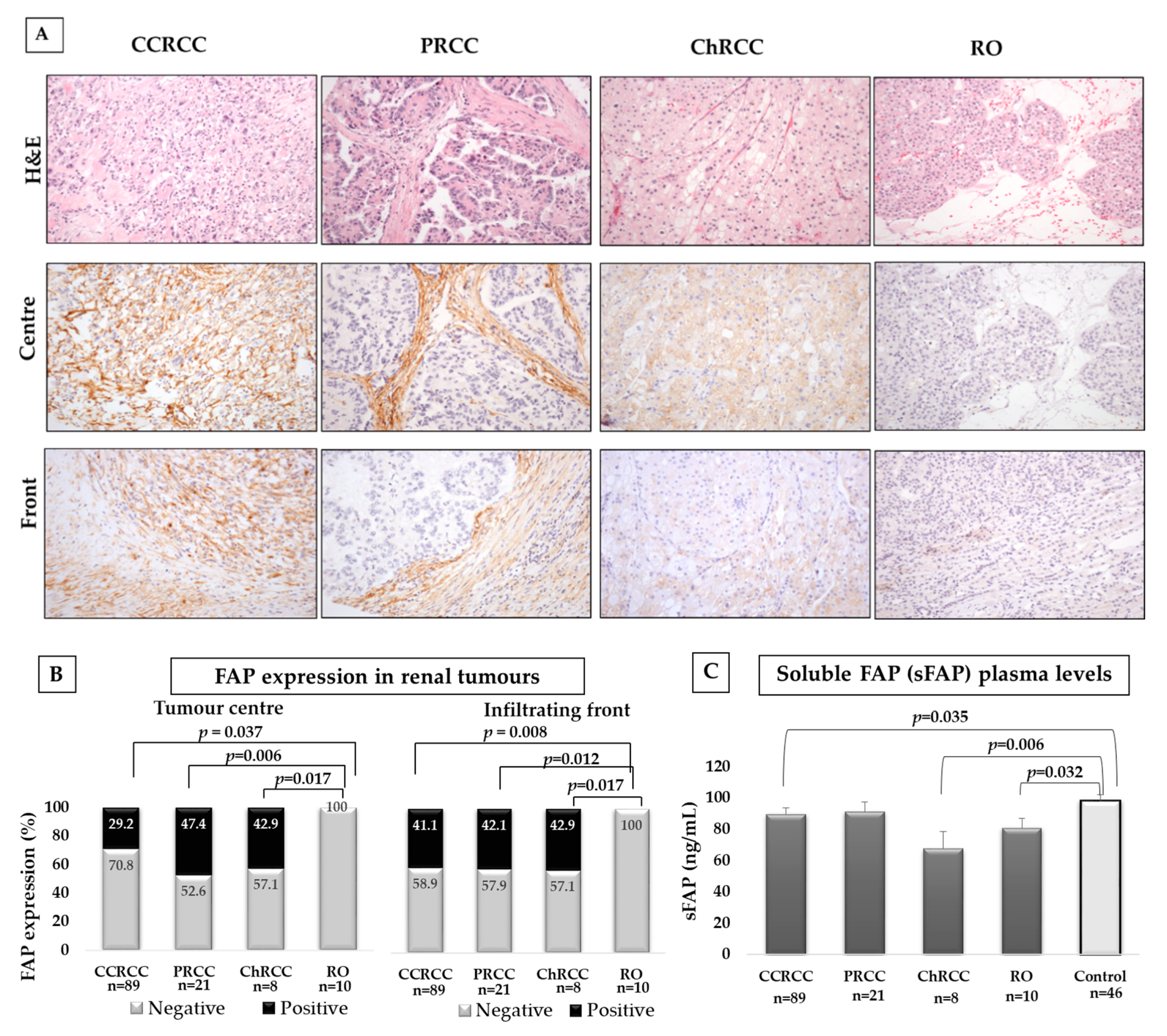 Cancers 12 03393 g001 Cancers 12 03393 g001