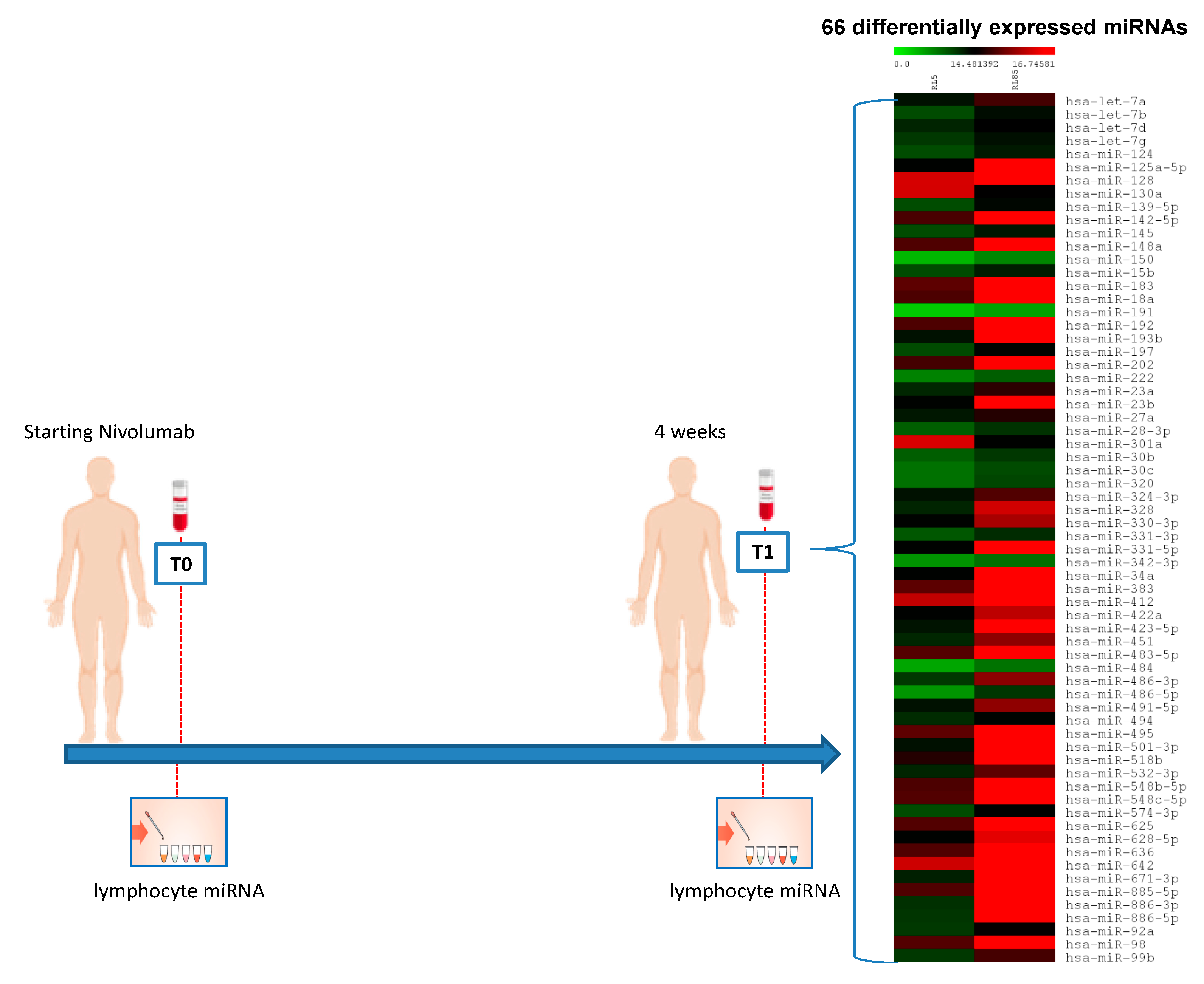 Cancers 12 03396 g001