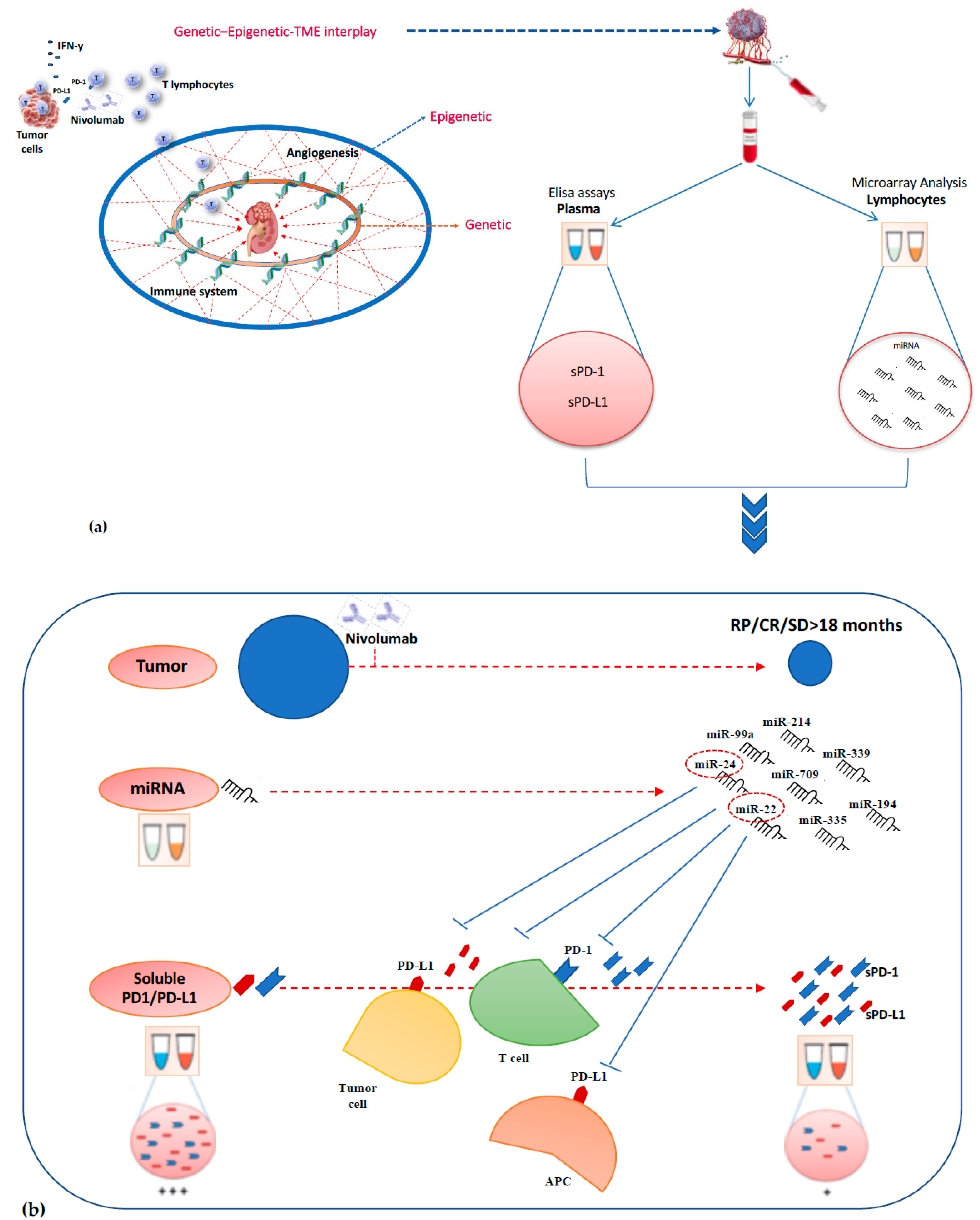 Cancers 12 03396 g004