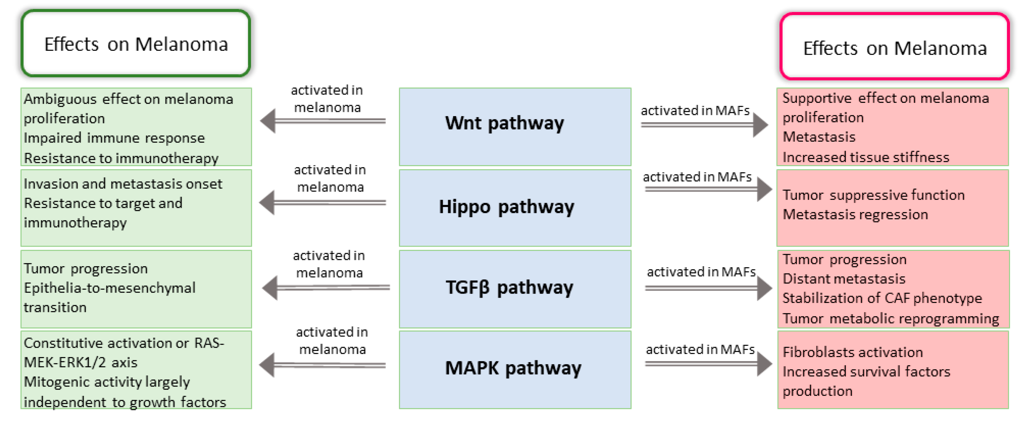 Cancers 12 03400 g002