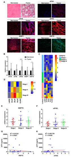 Cancers 12 03410 g001 550