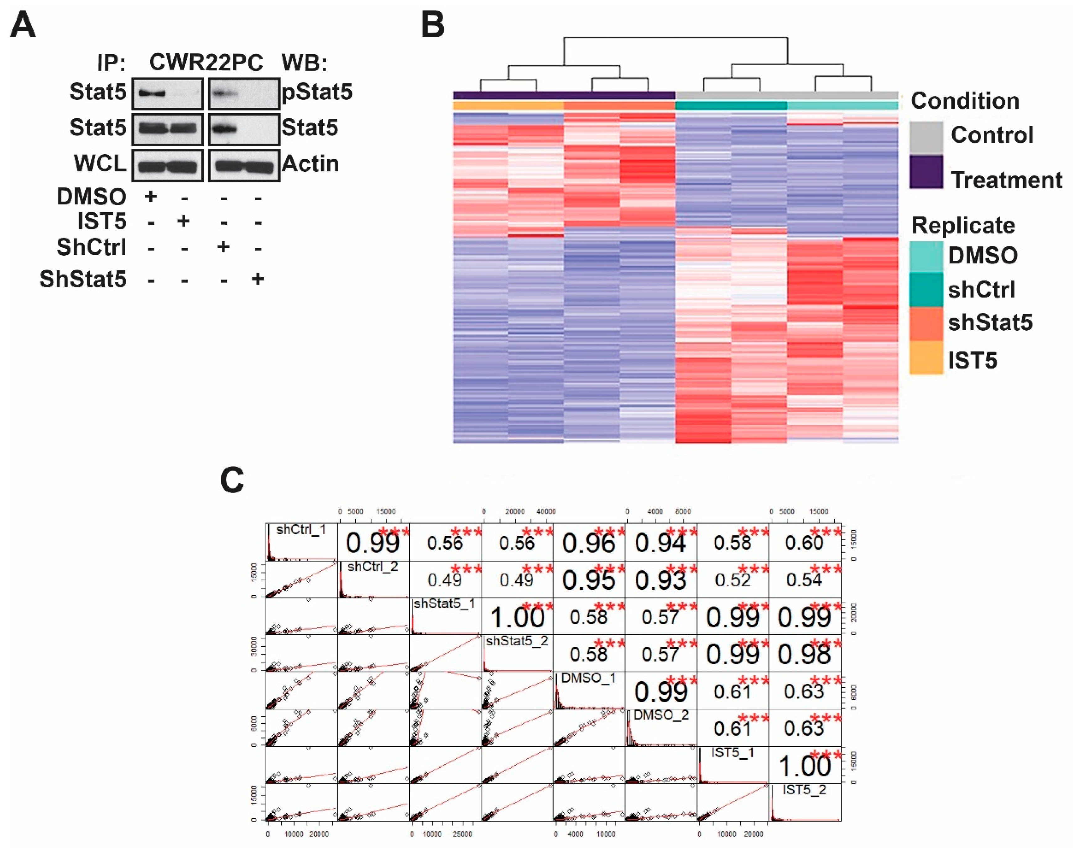 Cancers 12 03412 g002 Cancers 12 03412 g002