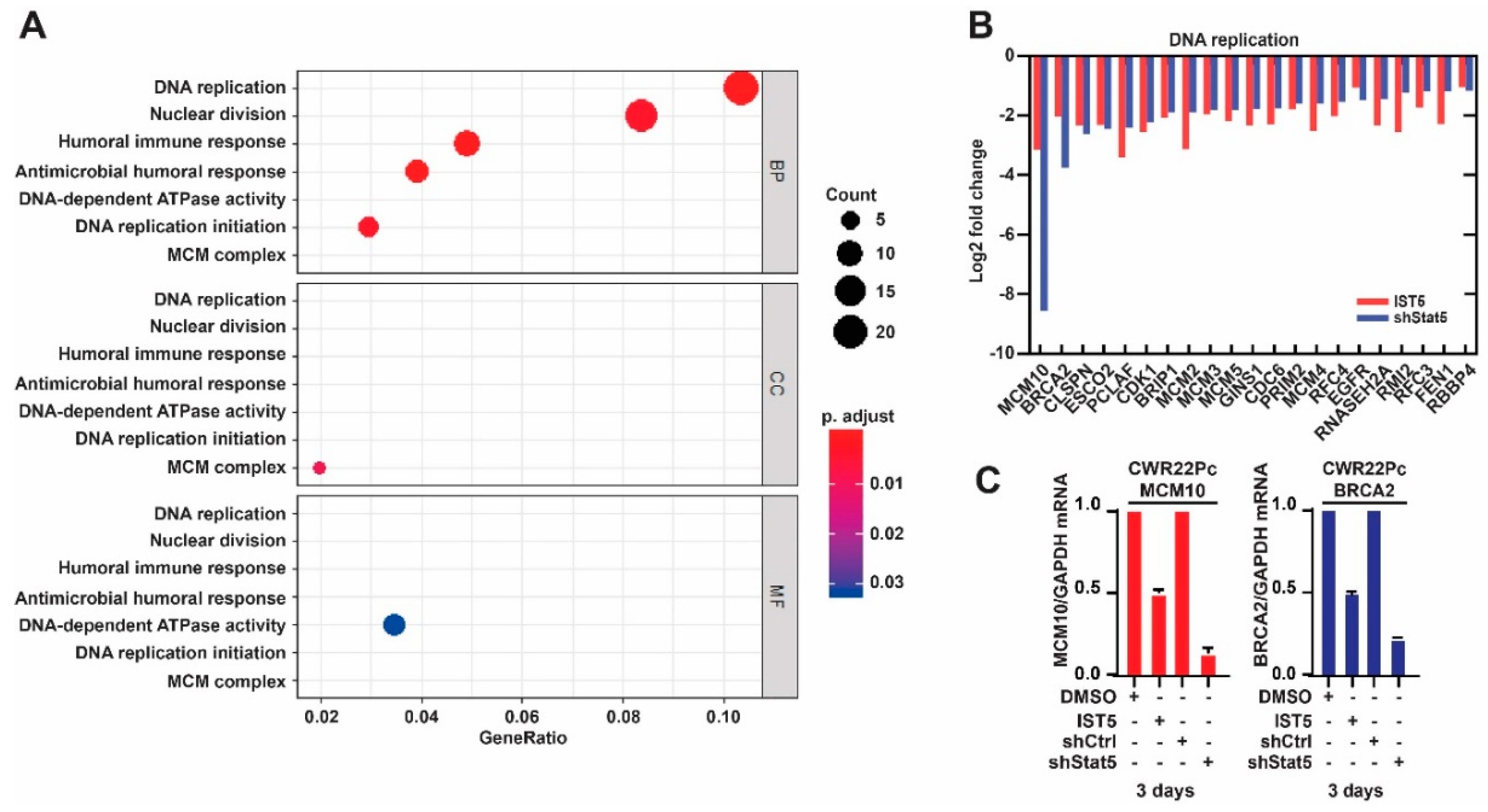 Cancers 12 03412 g003 Cancers 12 03412 g003