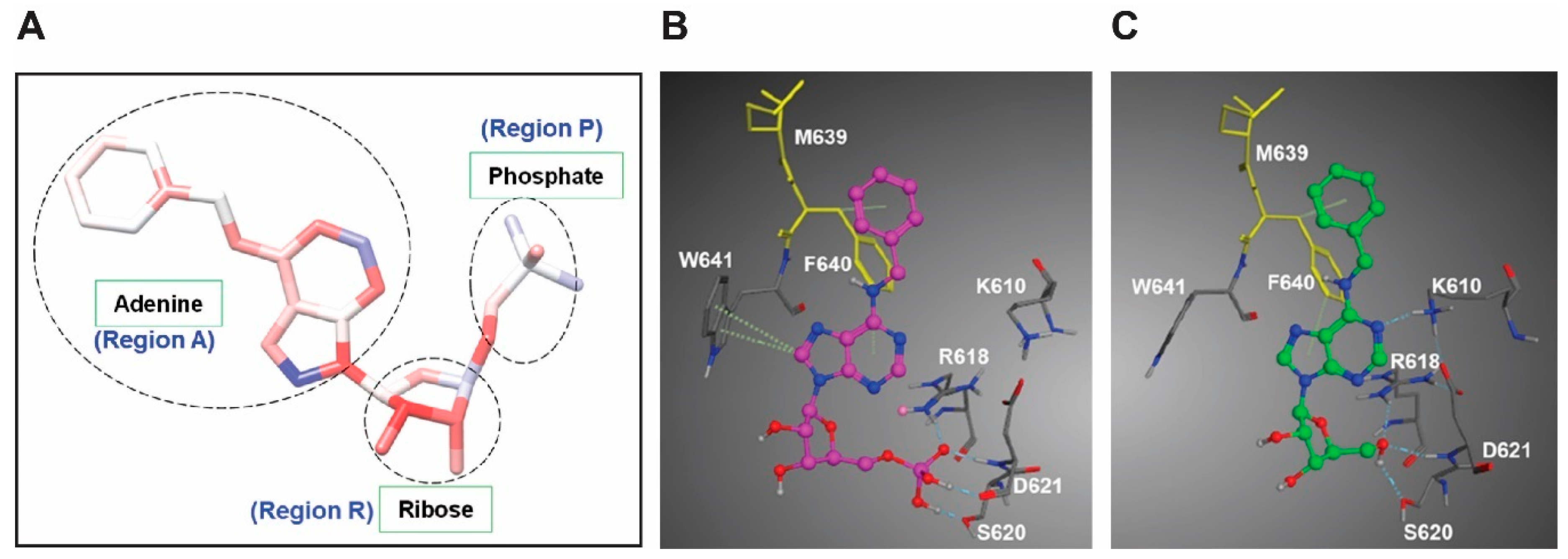 Cancers 12 03412 g007 Cancers 12 03412 g007