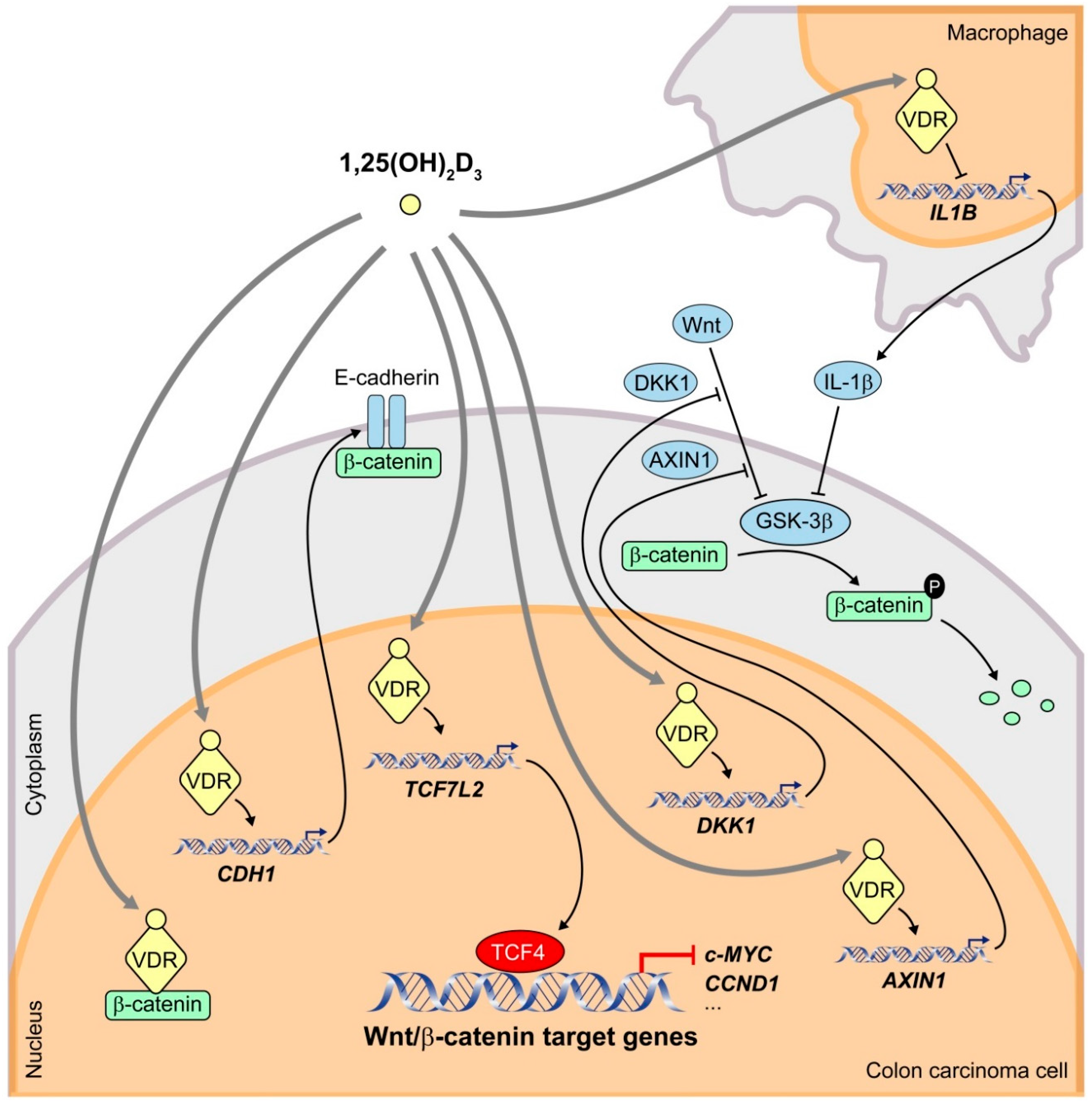 Cancers 12 03434 g001