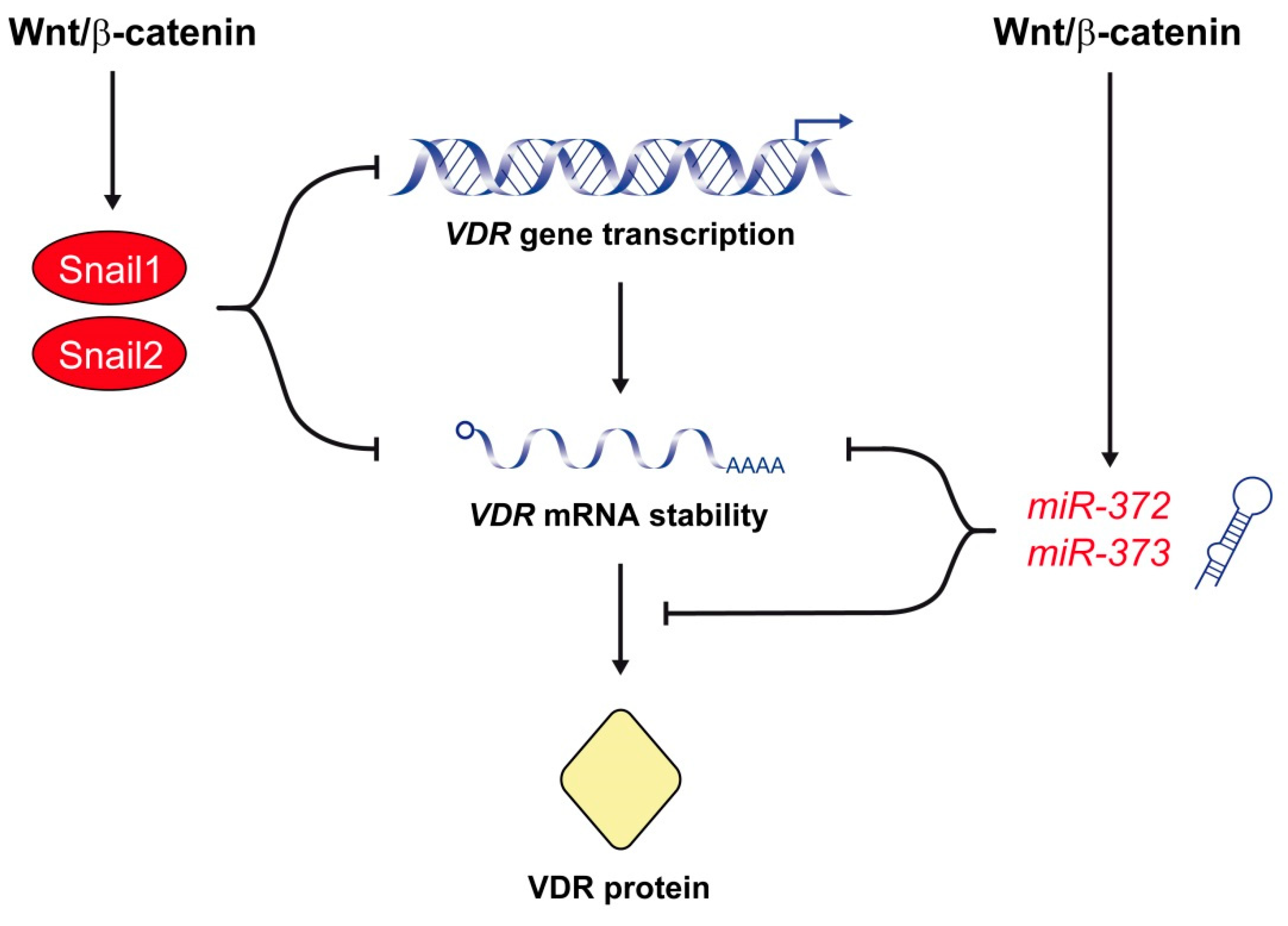 Cancers 12 03434 g002