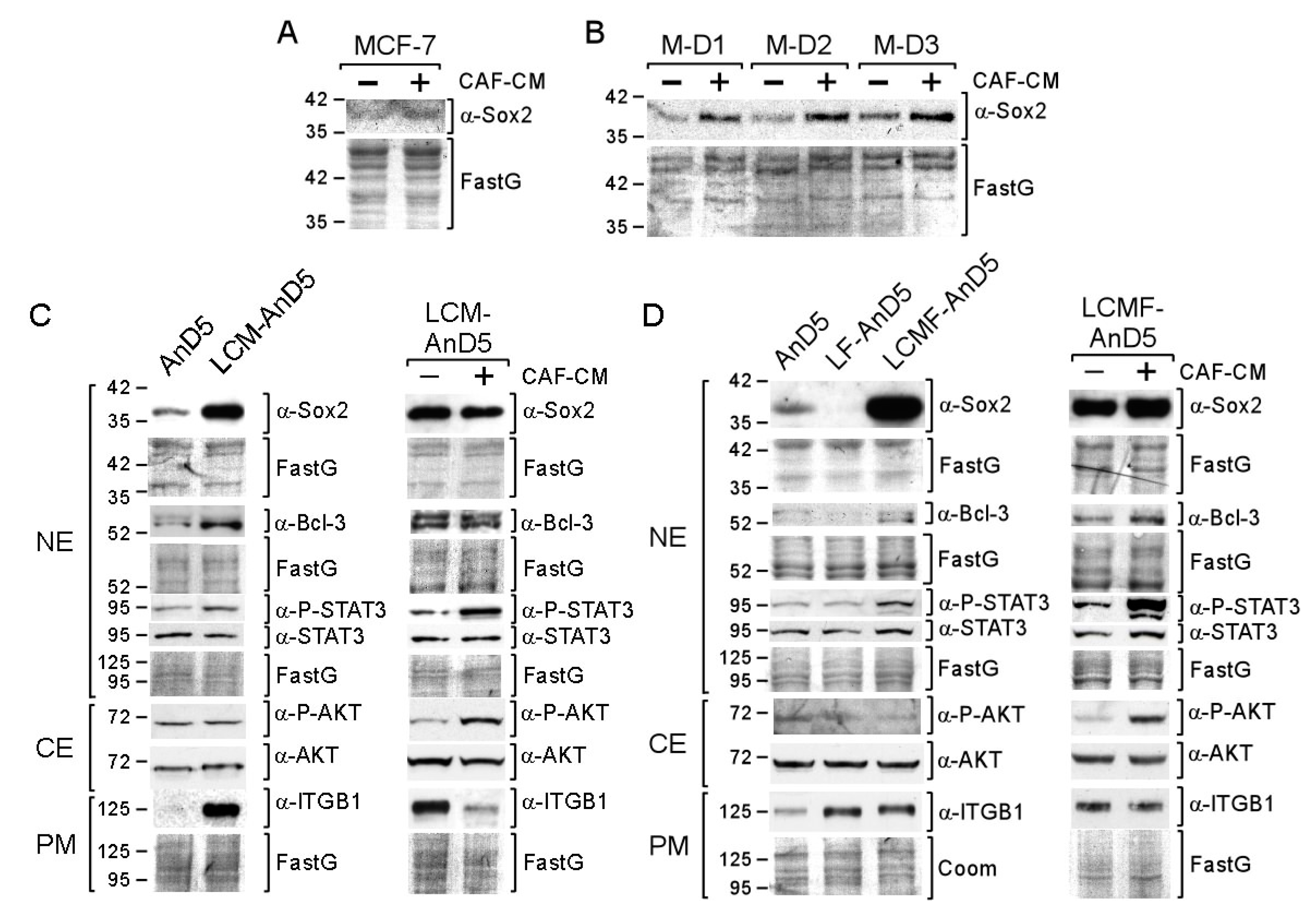 Cancers 12 03435 g001