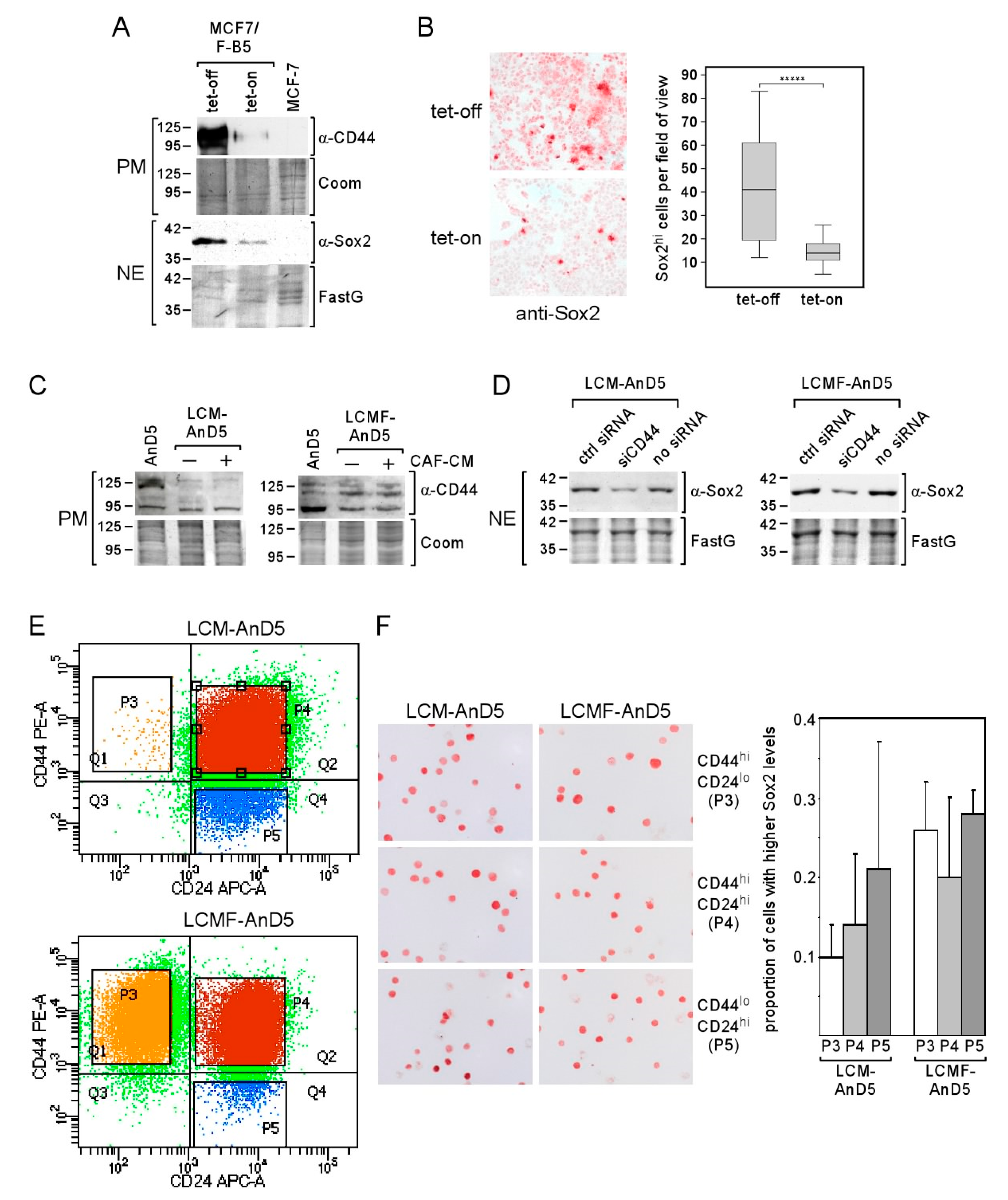 Cancers 12 03435 g004