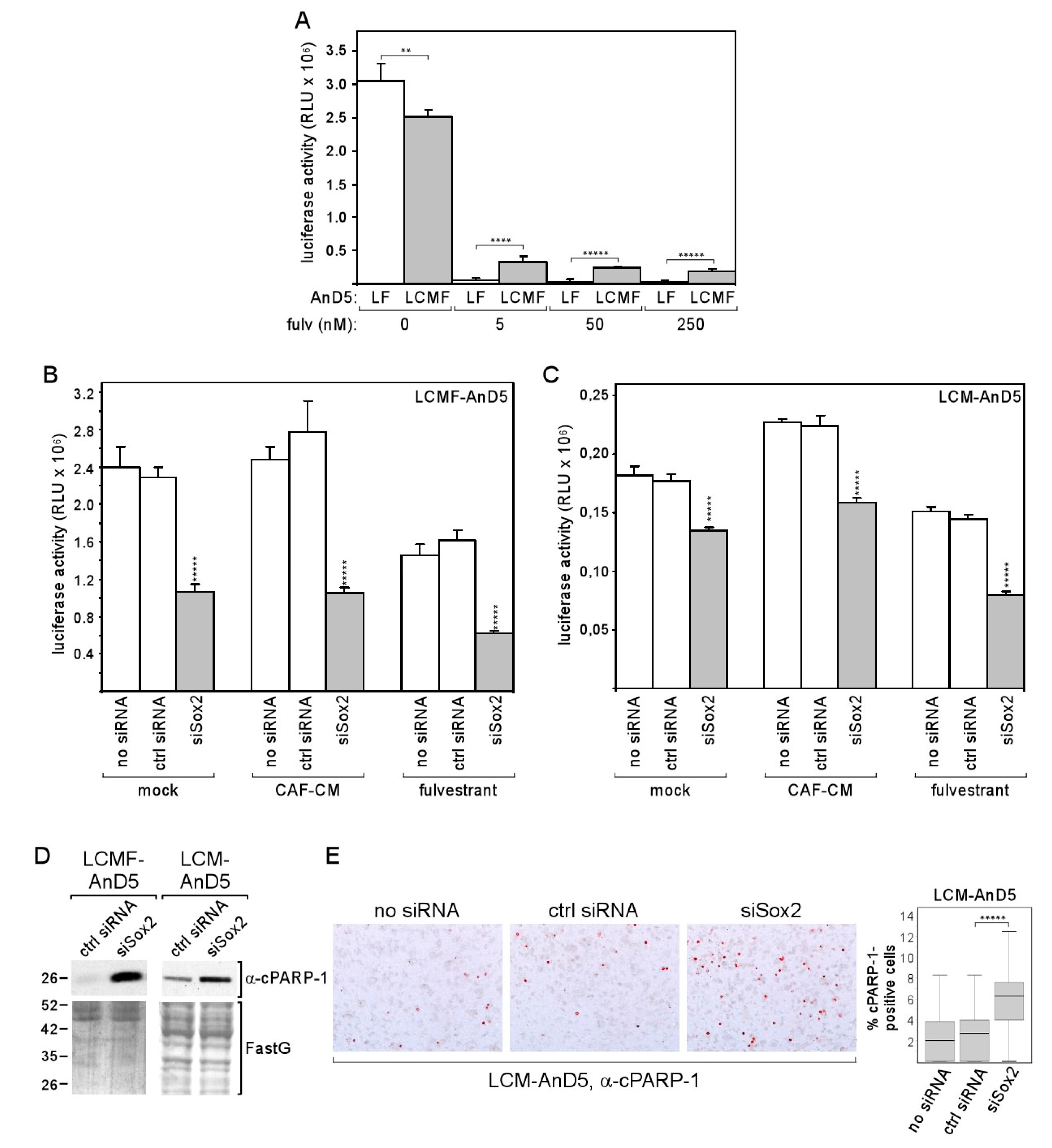 Cancers 12 03435 g006