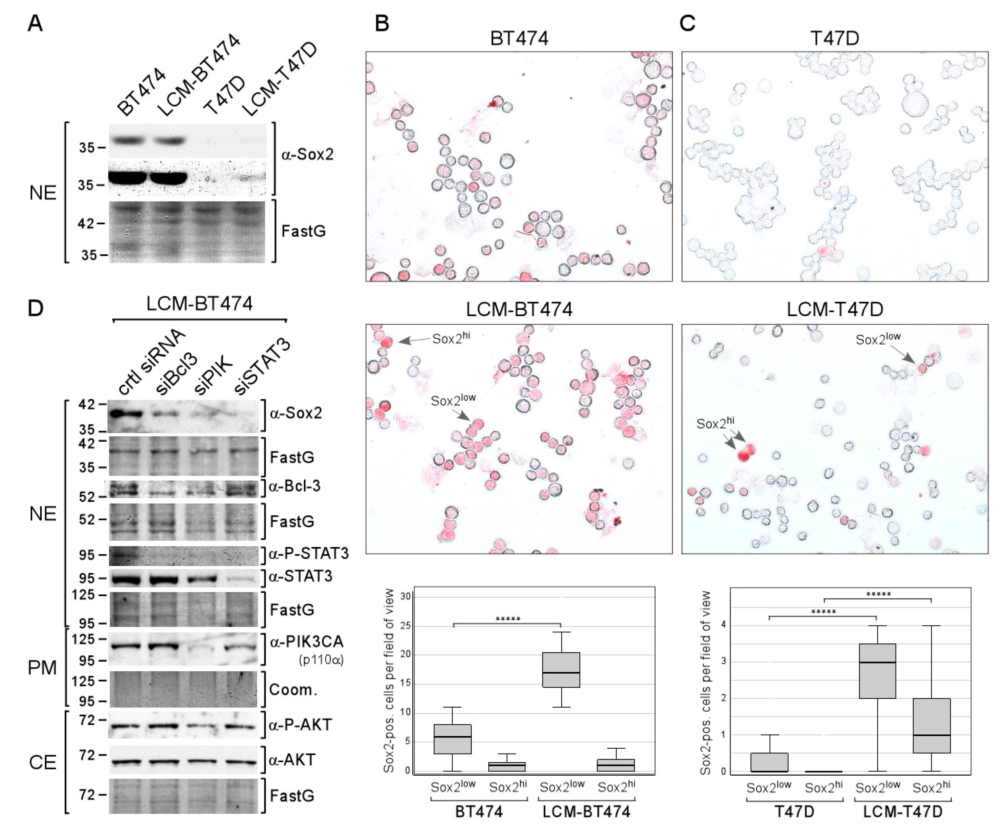 Cancers 12 03435 g007