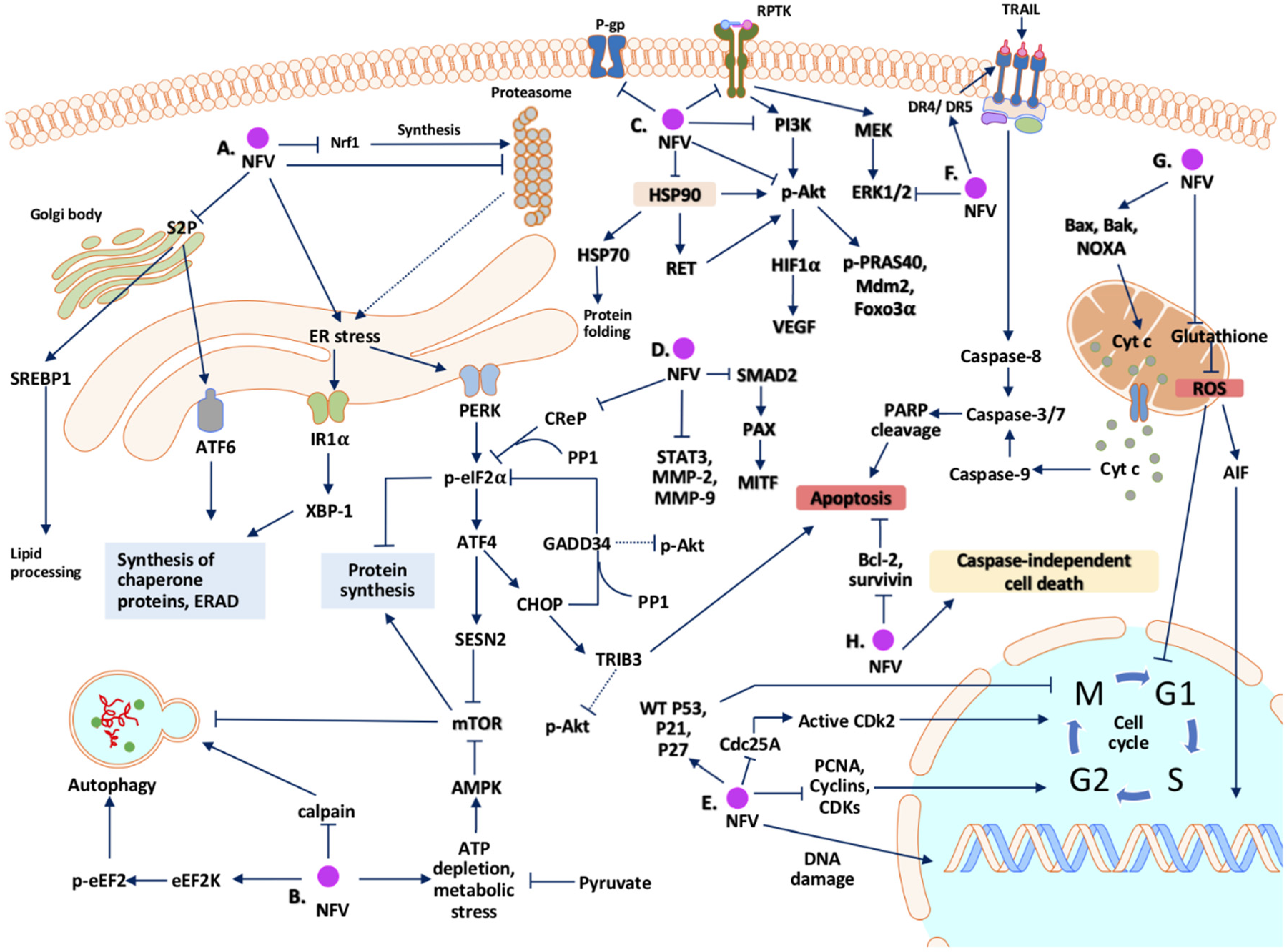 Cancers 12 03437 g001