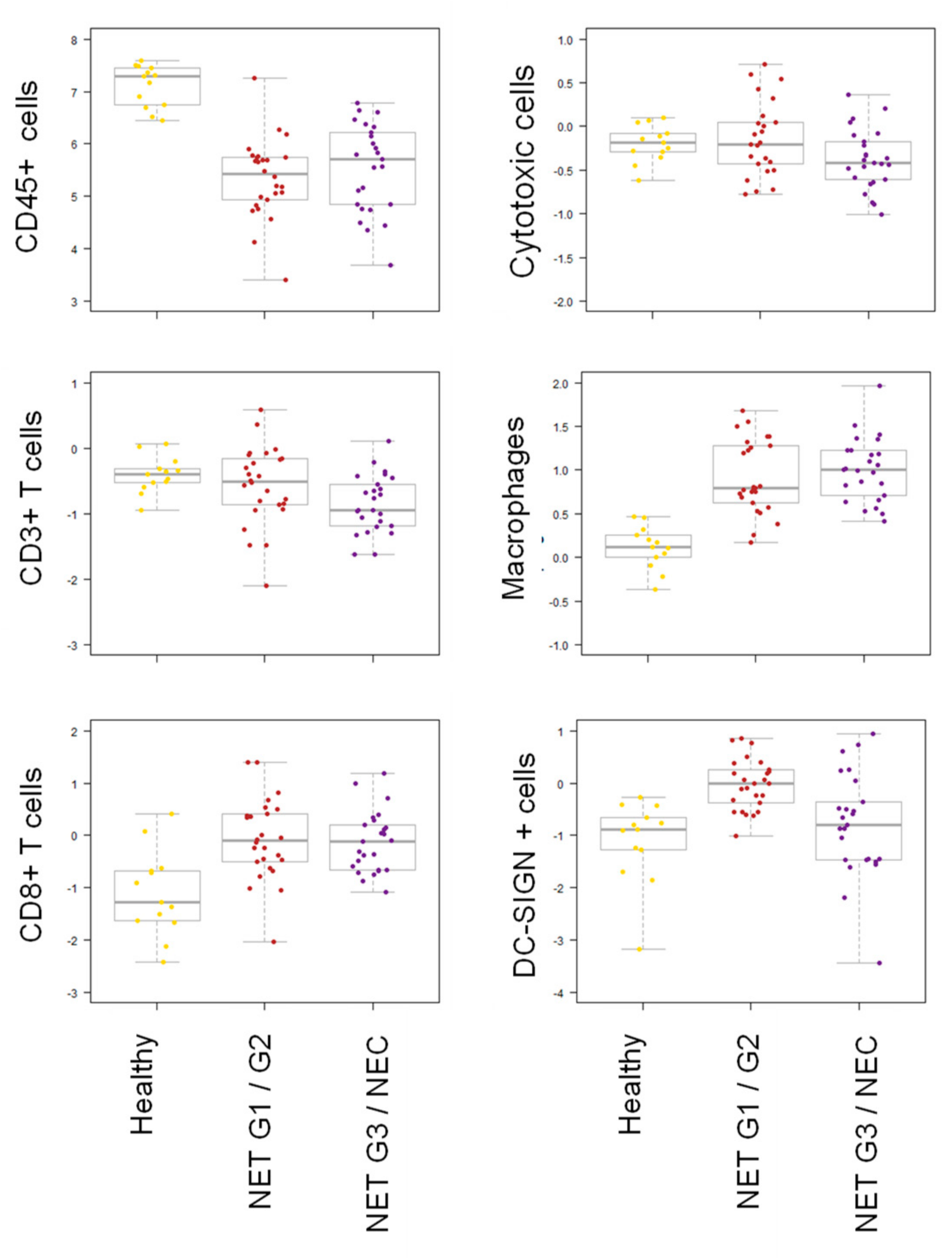 Cancers 12 03448 g003