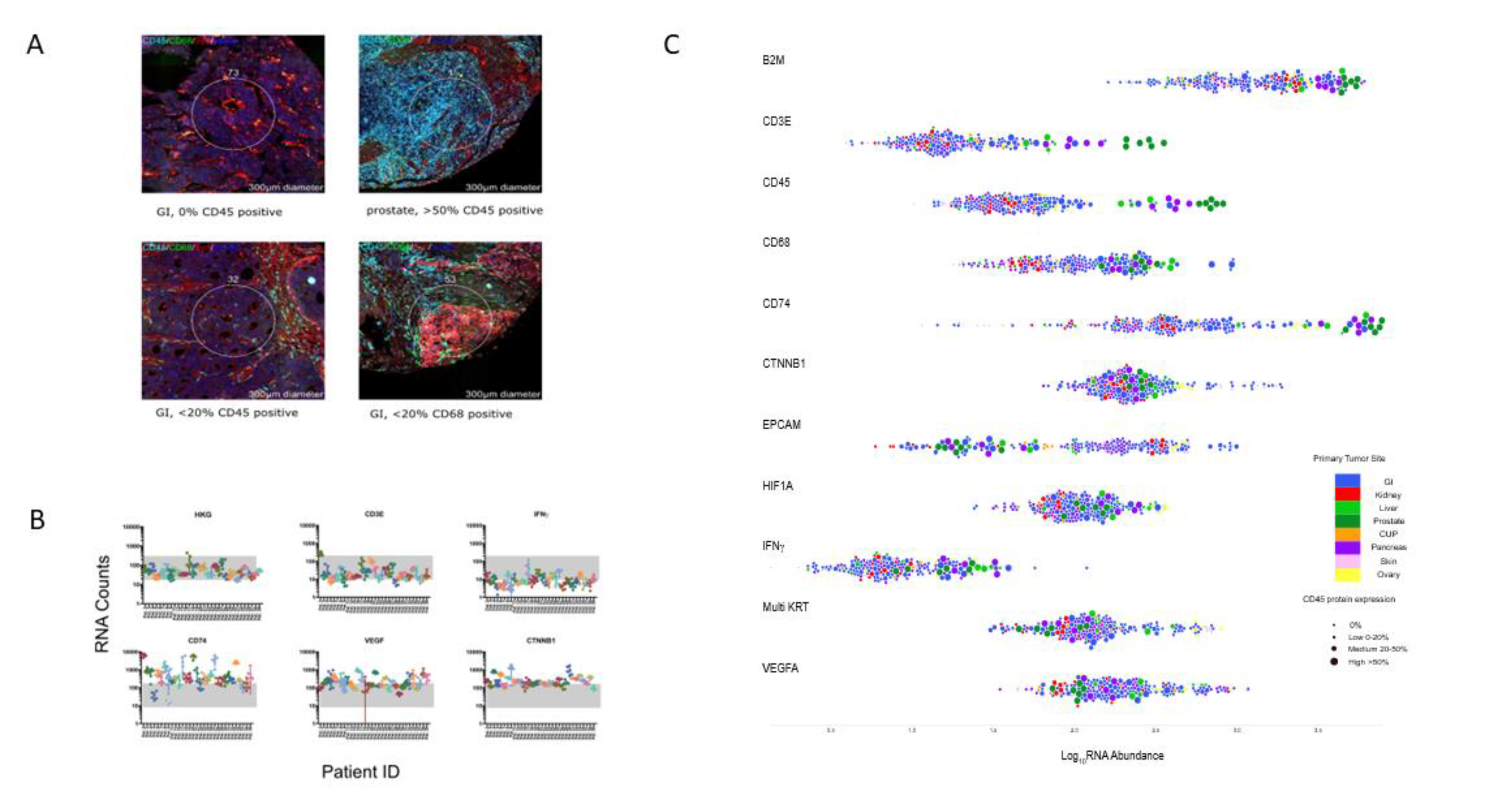 Cancers 12 03448 g004