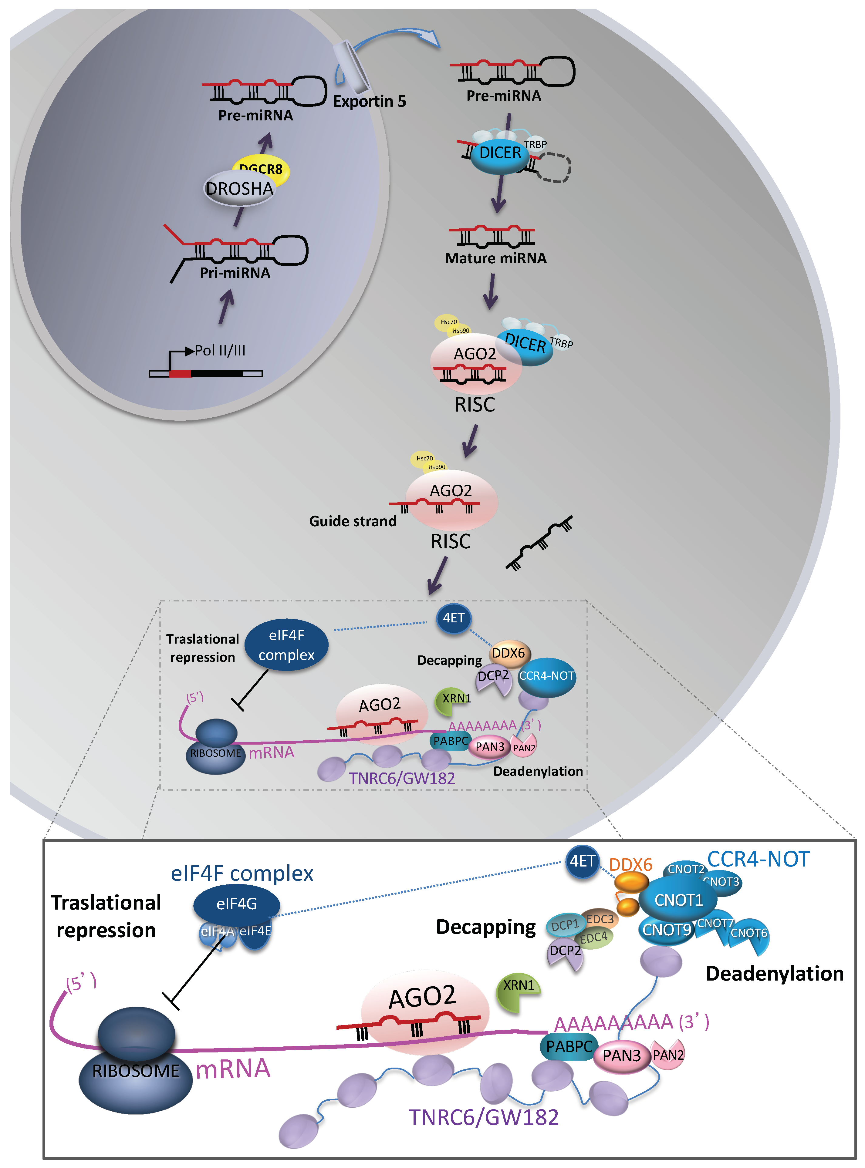 Cancers 12 03455 g001