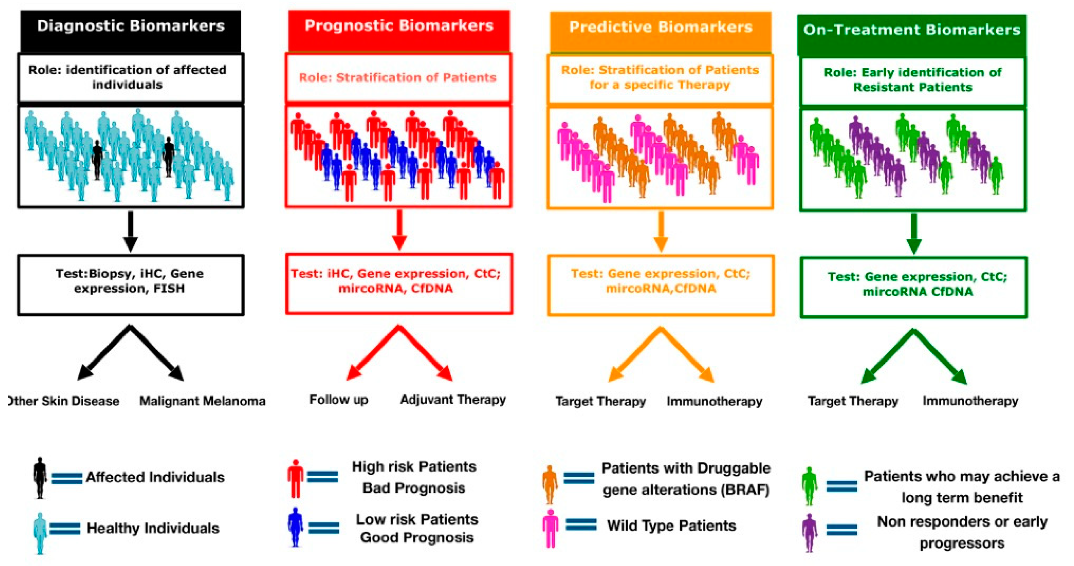 Cancers 12 03456 g001